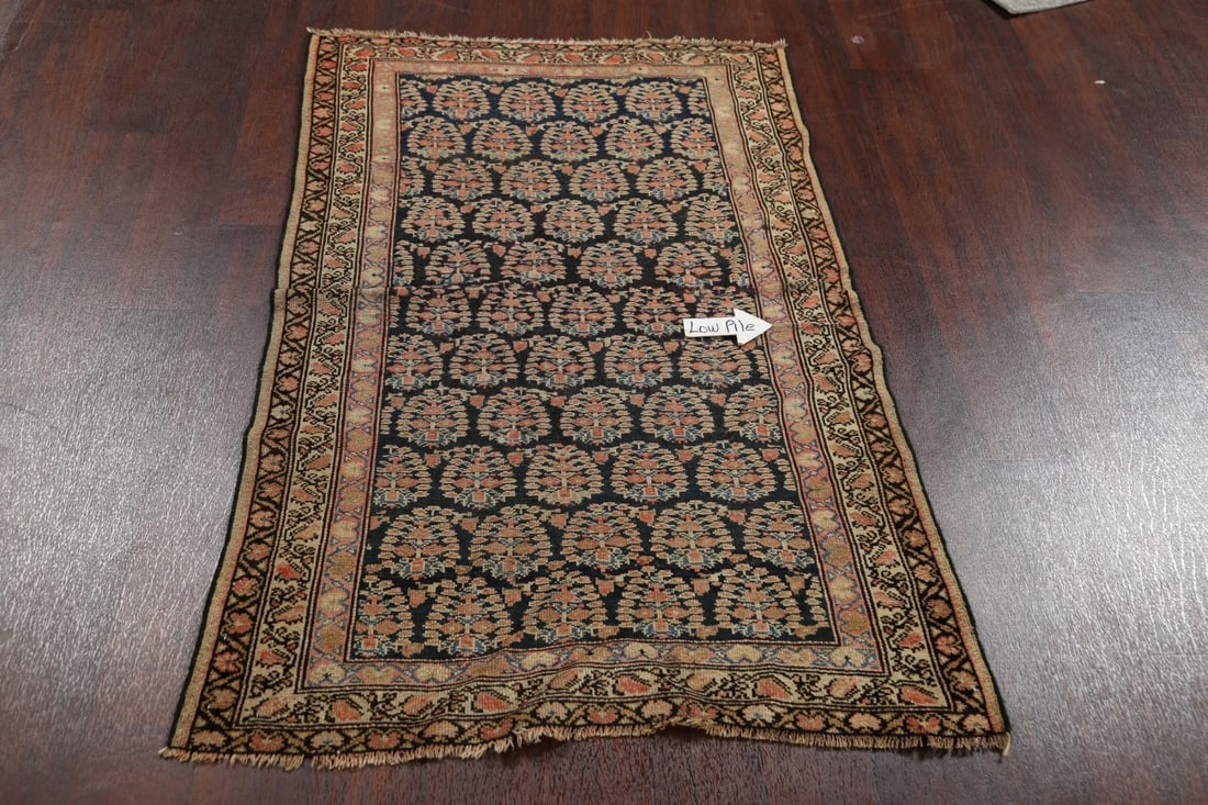 Pre-1900 Antique Vegetable Dye Senneh Bidjar Persian Area Rug 3x5 - 12
