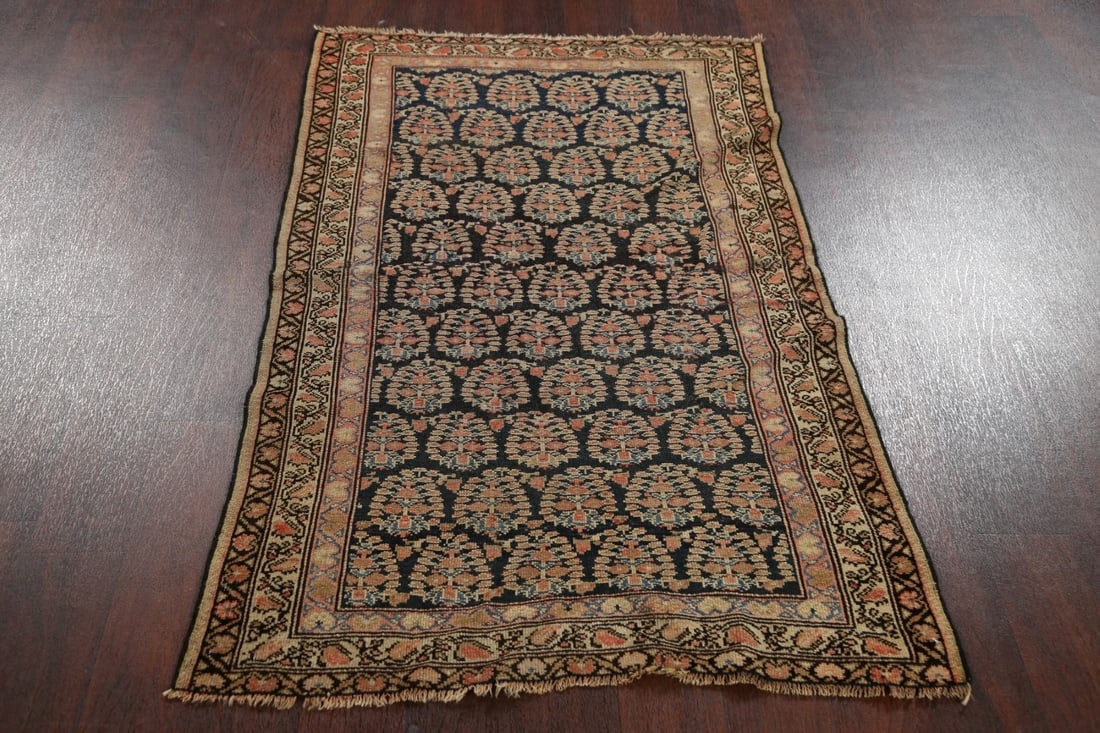 Pre-1900 Antique Vegetable Dye Senneh Bidjar Persian Area Rug 3x5 - 16