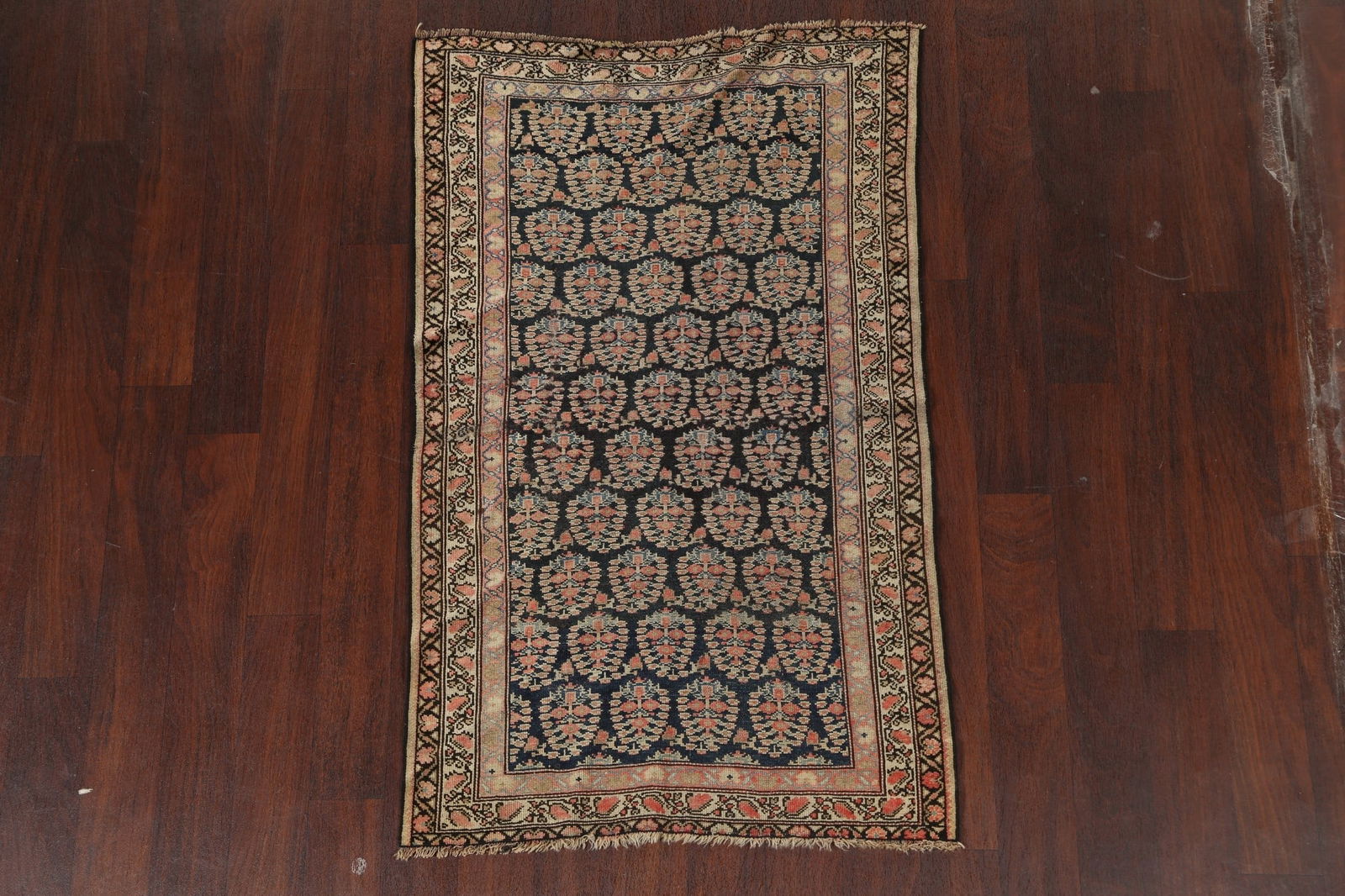 Pre-1900 Antique Vegetable Dye Senneh Bidjar Persian Area Rug 3x5 - 2