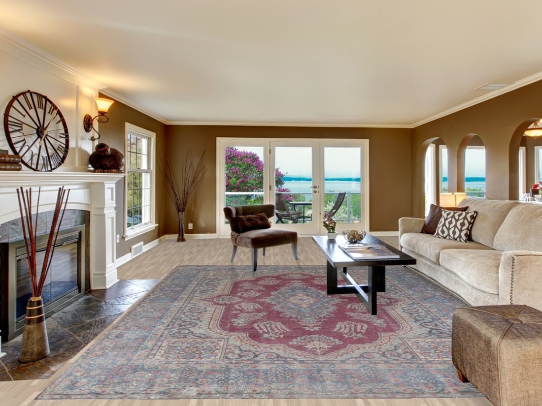 Antique Vegetable Dye Handmade Kerman Persian Rug 10x13 - 2