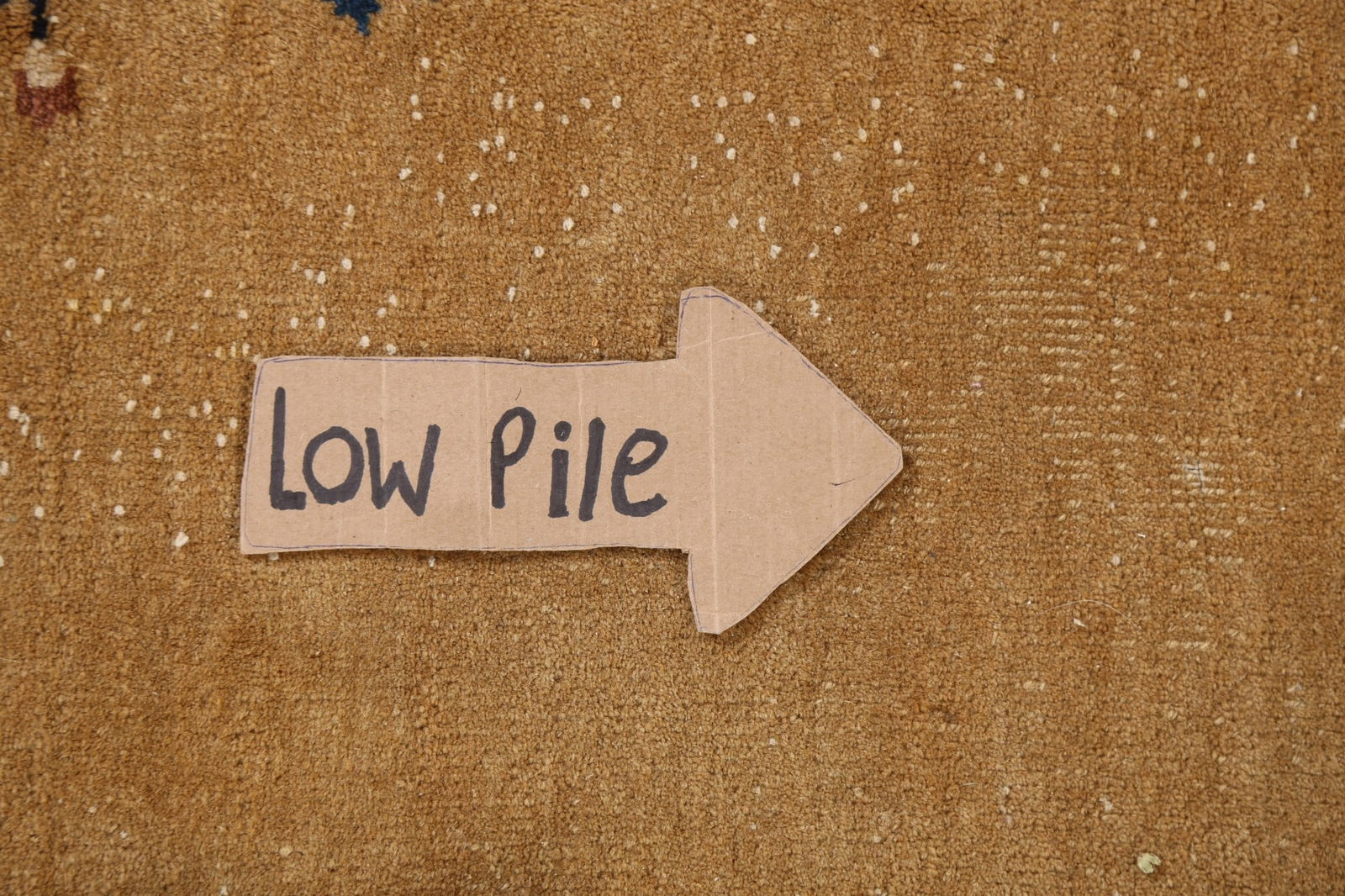 Antique Peking Oriental Area Rug 6x12 - 11