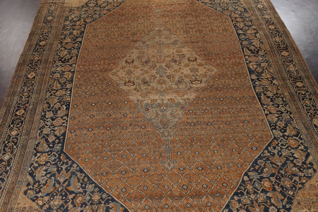 Pre-1900 Antique Vegetable Dye Bibikabad Persian Rug 13x20 - 4