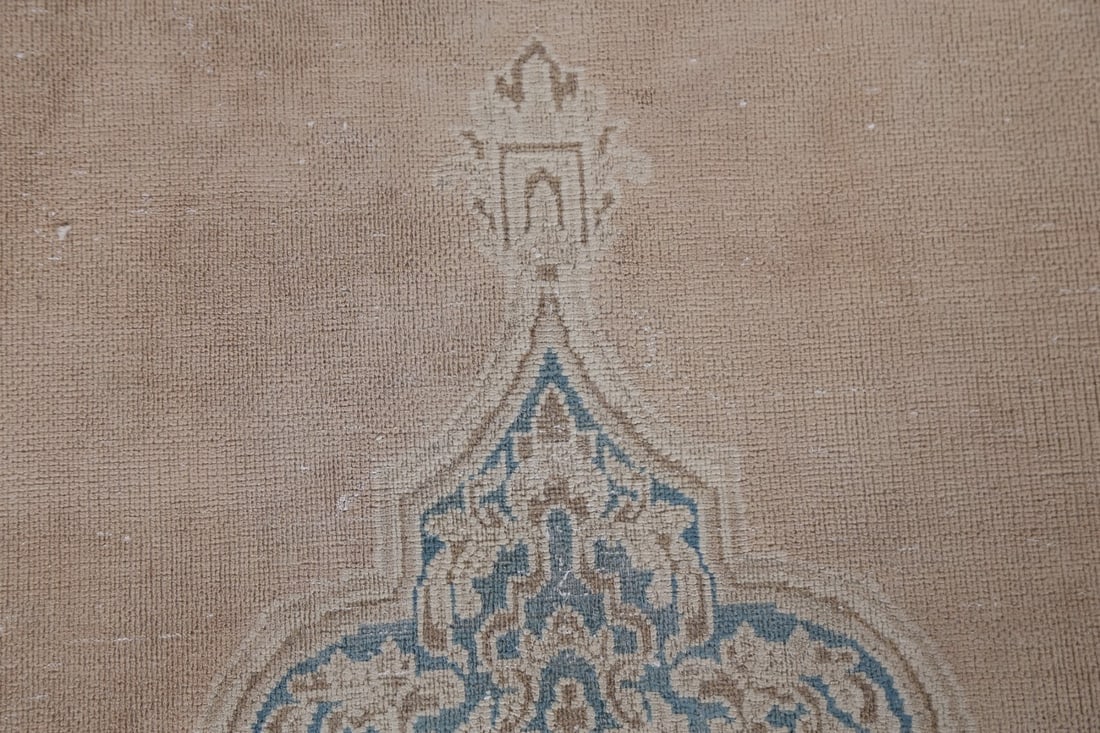 Vegetable Dye Antique Kerman Persian Area Rug 9x12 - 10