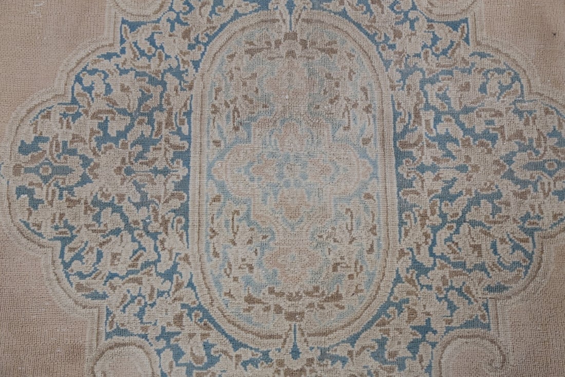 Vegetable Dye Antique Kerman Persian Area Rug 9x12 - 9