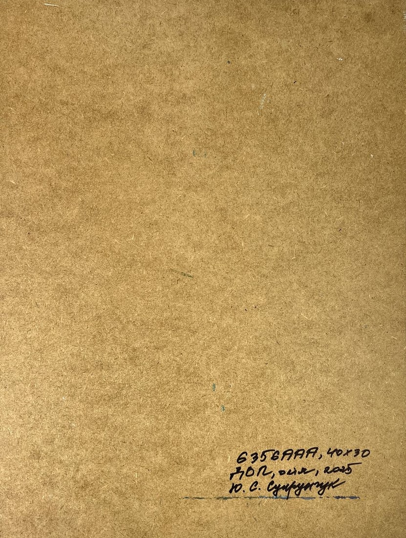 Oil painting Snow covered evening house Yuriy Suprunchuk - 11