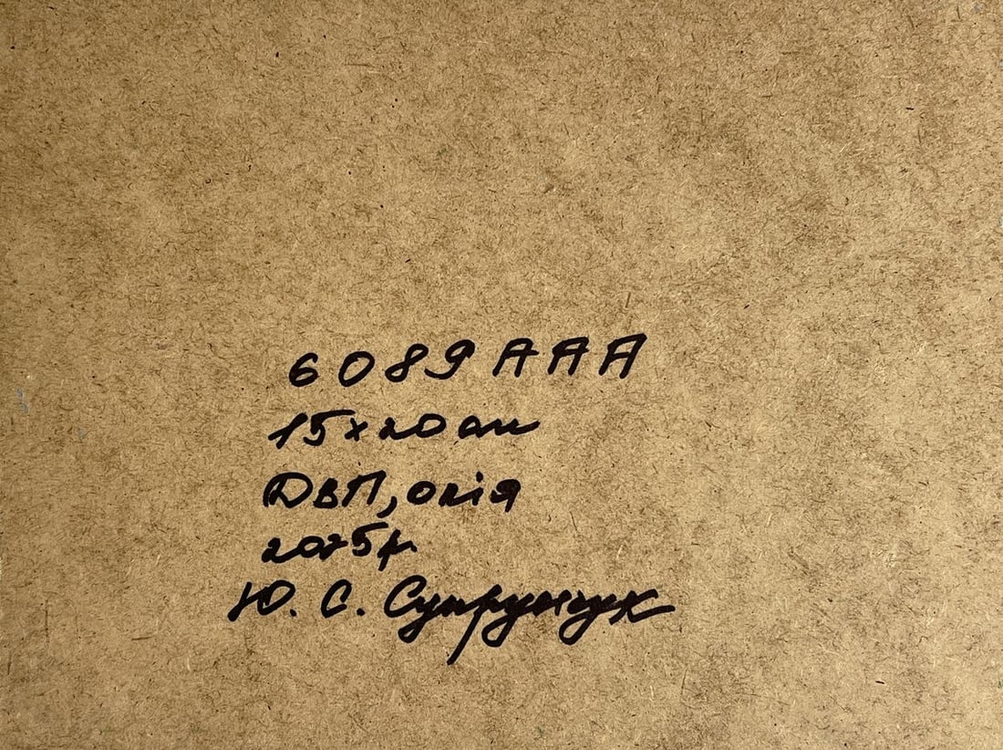 Oil painting After a winter snowstorm overnight Yuriy Suprunchuk - 11