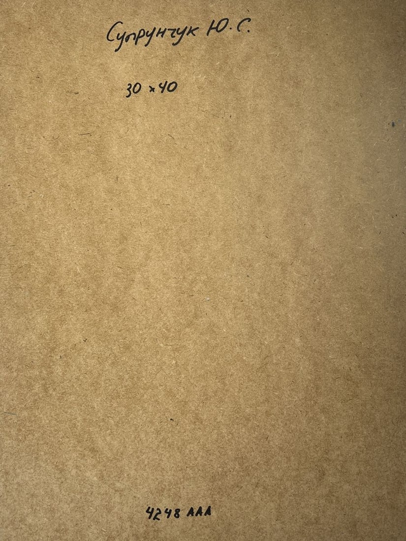 Oil painting Winter patterns of nature Yuriy Suprunchuk - 10