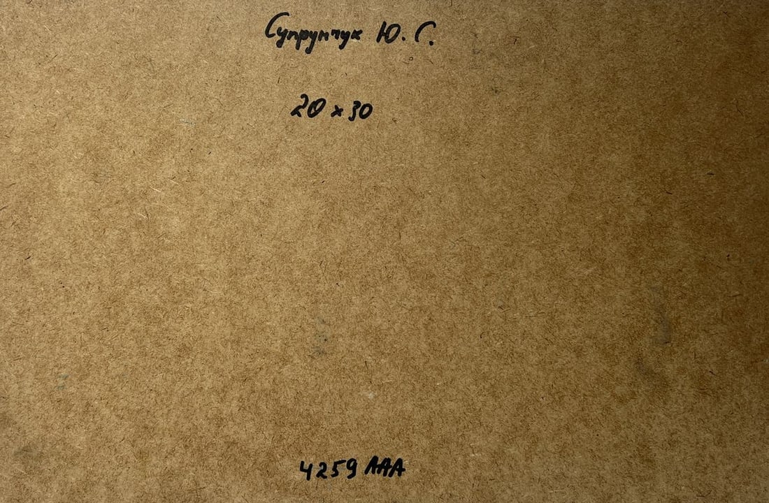 Oil painting Winter night comfort Yuriy Suprunchuk - 10