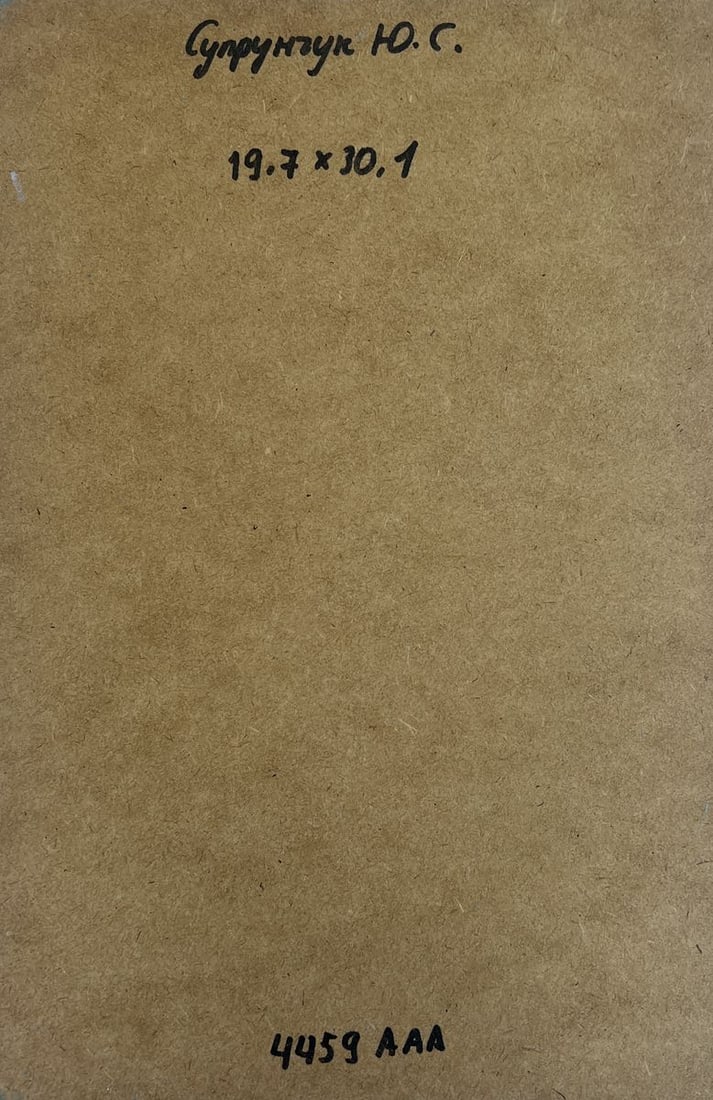 Oil painting Riding a horse in the snow Yuriy Suprunchuk - 10