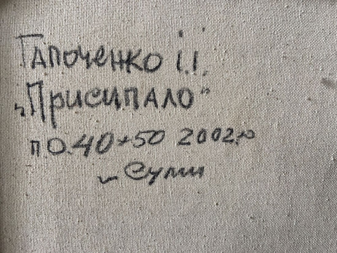 Oil painting Covered with snow Kapotenko Ivan Ivanovich - 9