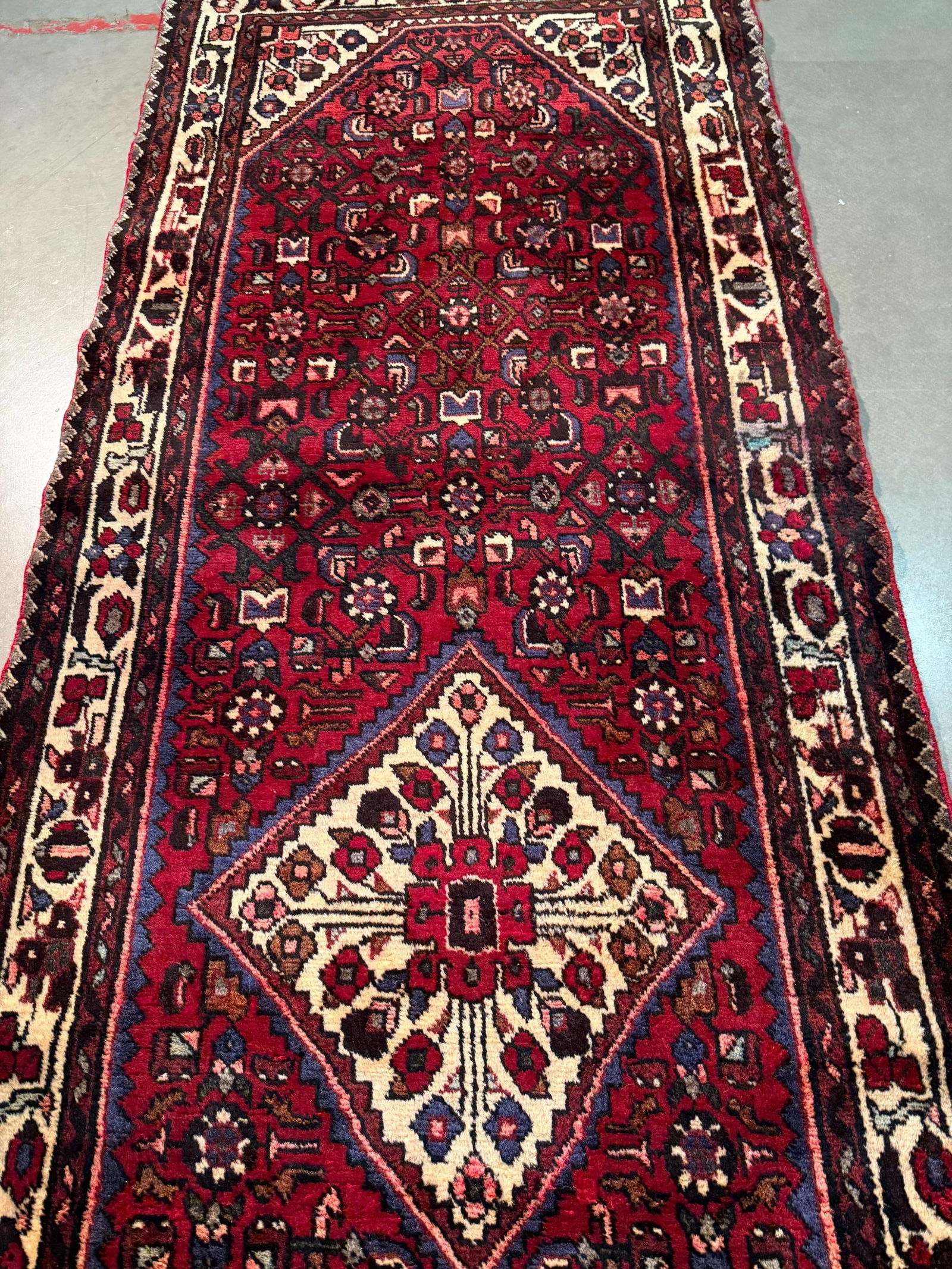Persian Hamedan Runner 3.4x10 - 3