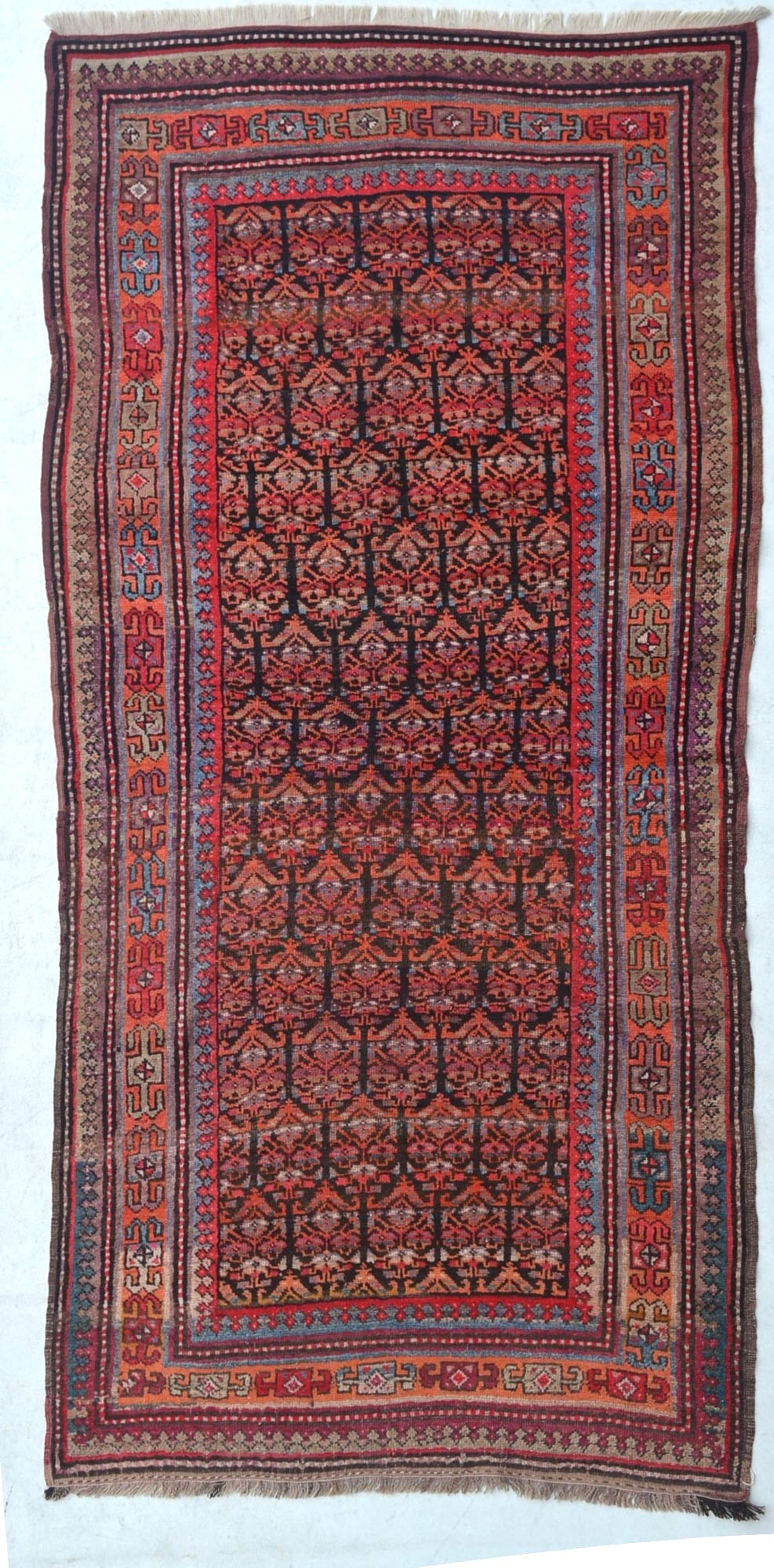 11045 CAUCASIAN KARABAGH CARPET: 2.67 × 1.32 m (3.52 m²) - 6