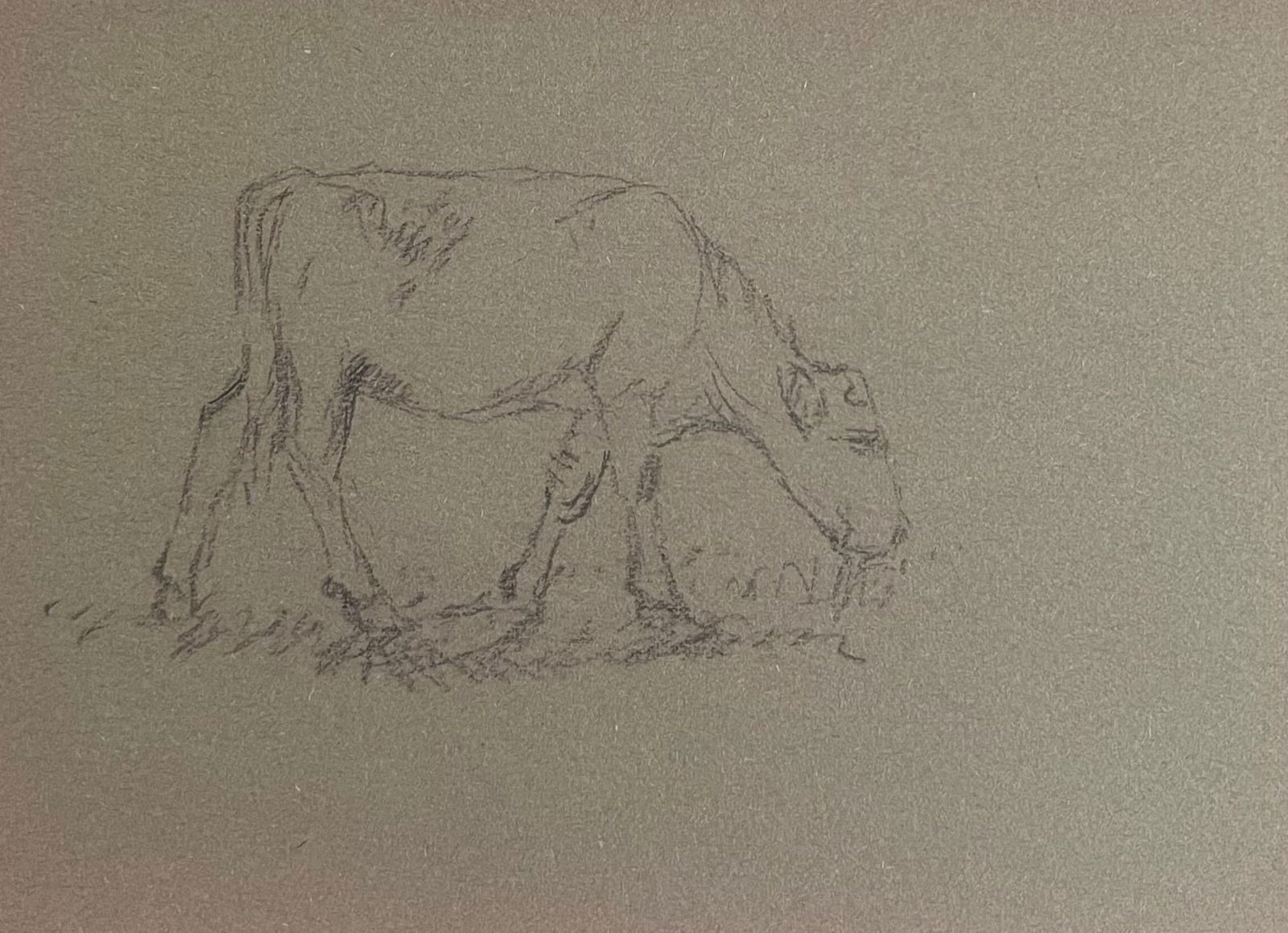 John Rabone Harvey; British Chalk Pencil Sketch of a Sheep Munching The Grass, 1966: Title: John Rabone Harvey; British Chalk Pencil Sketch of a Sheep Munching The Grass, 1966 Description: John Rabone Harvey ( 1966 - 1922) graphic and chalk deep green artist paper , unframed artist pa