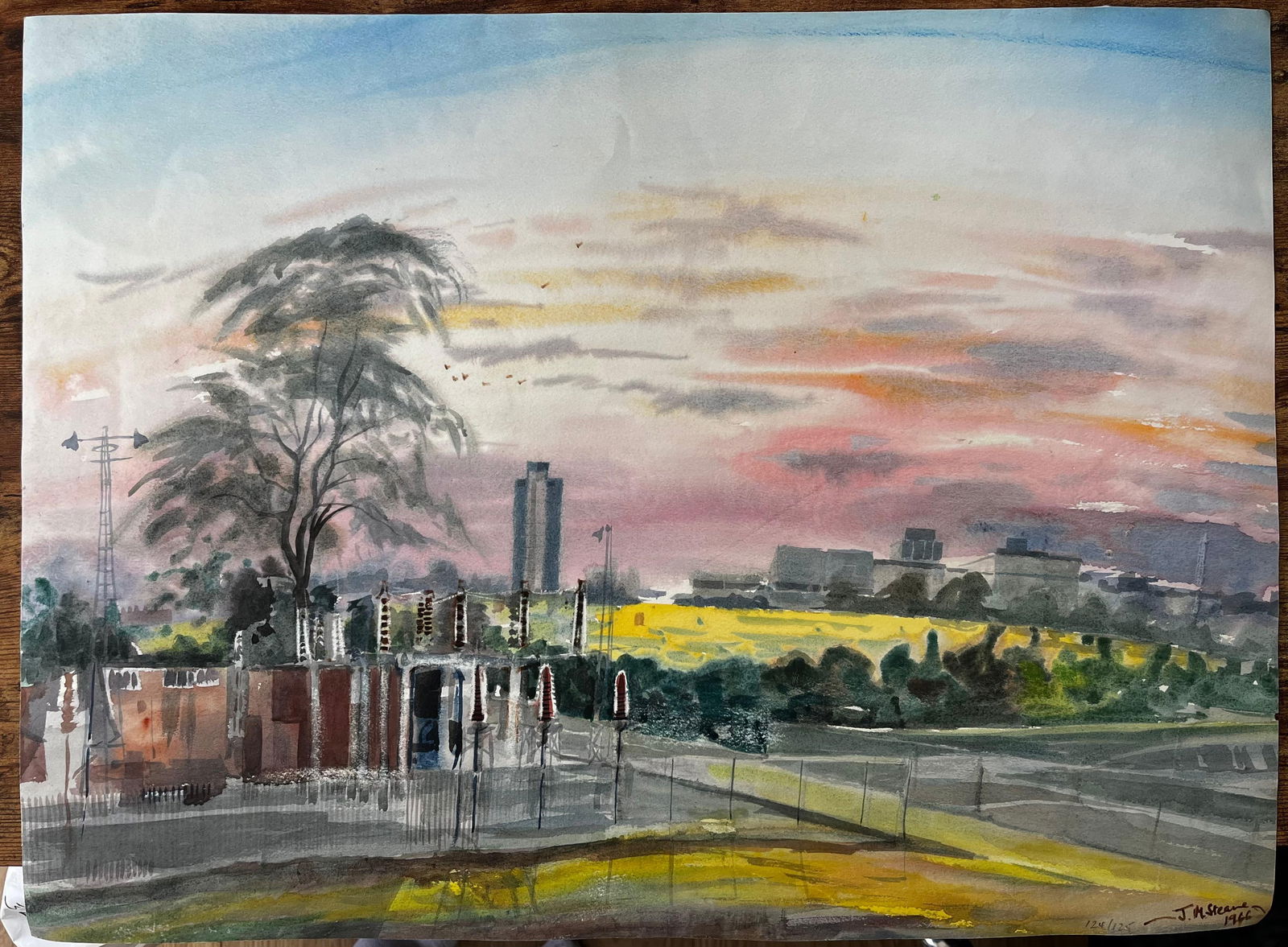 John Steane (b.1931); Sunset Over Suburban London with Tree Skyline and Yellow Fields 1996 - 5