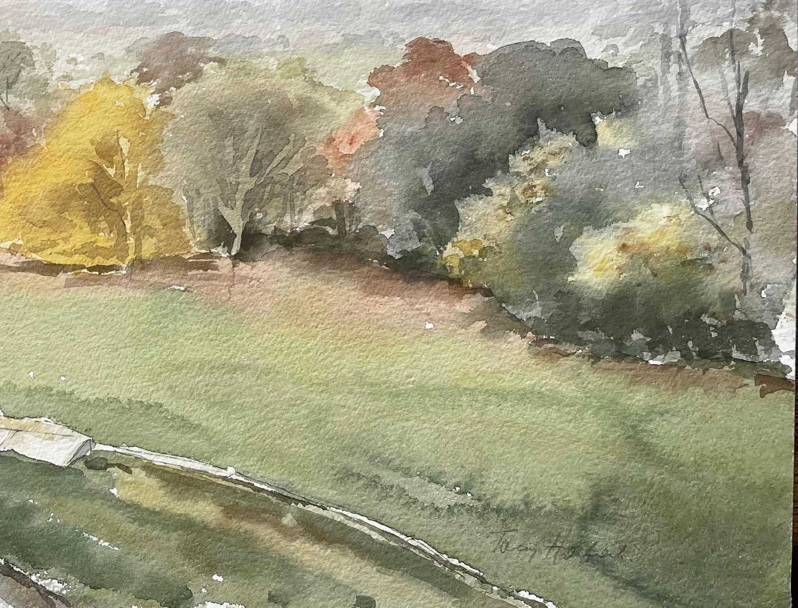 Anthony Herbert; Richmond Park landscape Painting View from Pembroke Lodge Autumn Trees - 7