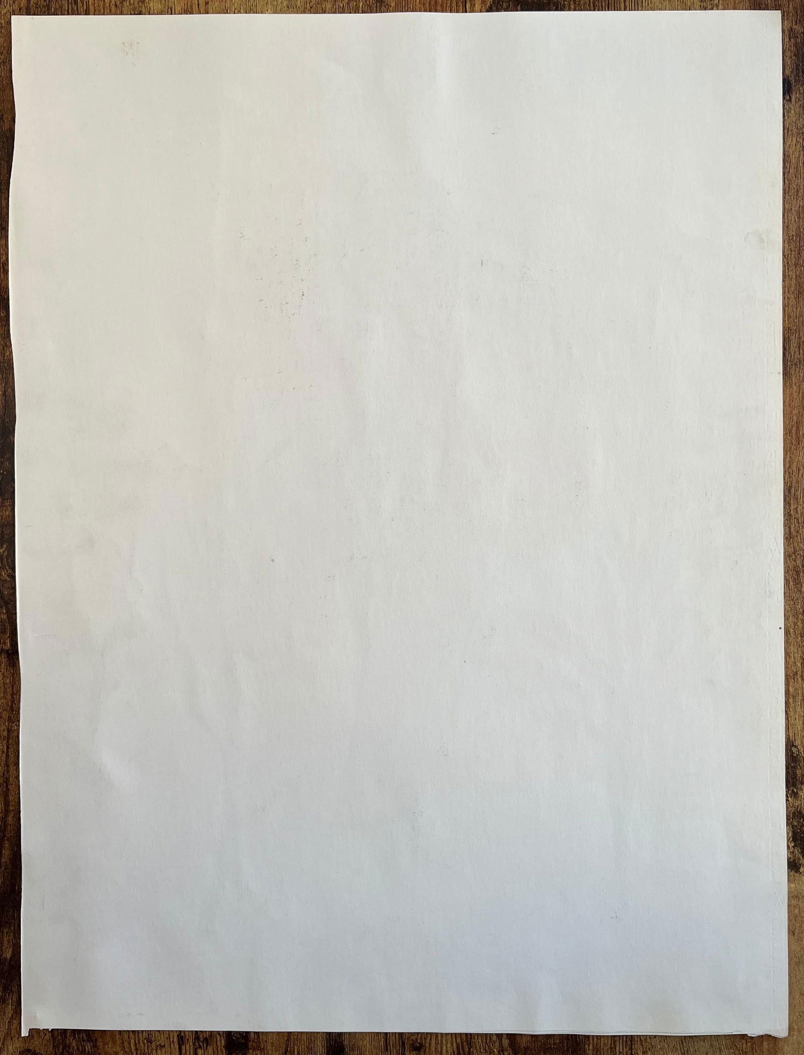 Anne Marie Migette Perard; Mid-20th Century Post-Impressionist Ink and Wash Cityscape with Palm Tree - 3