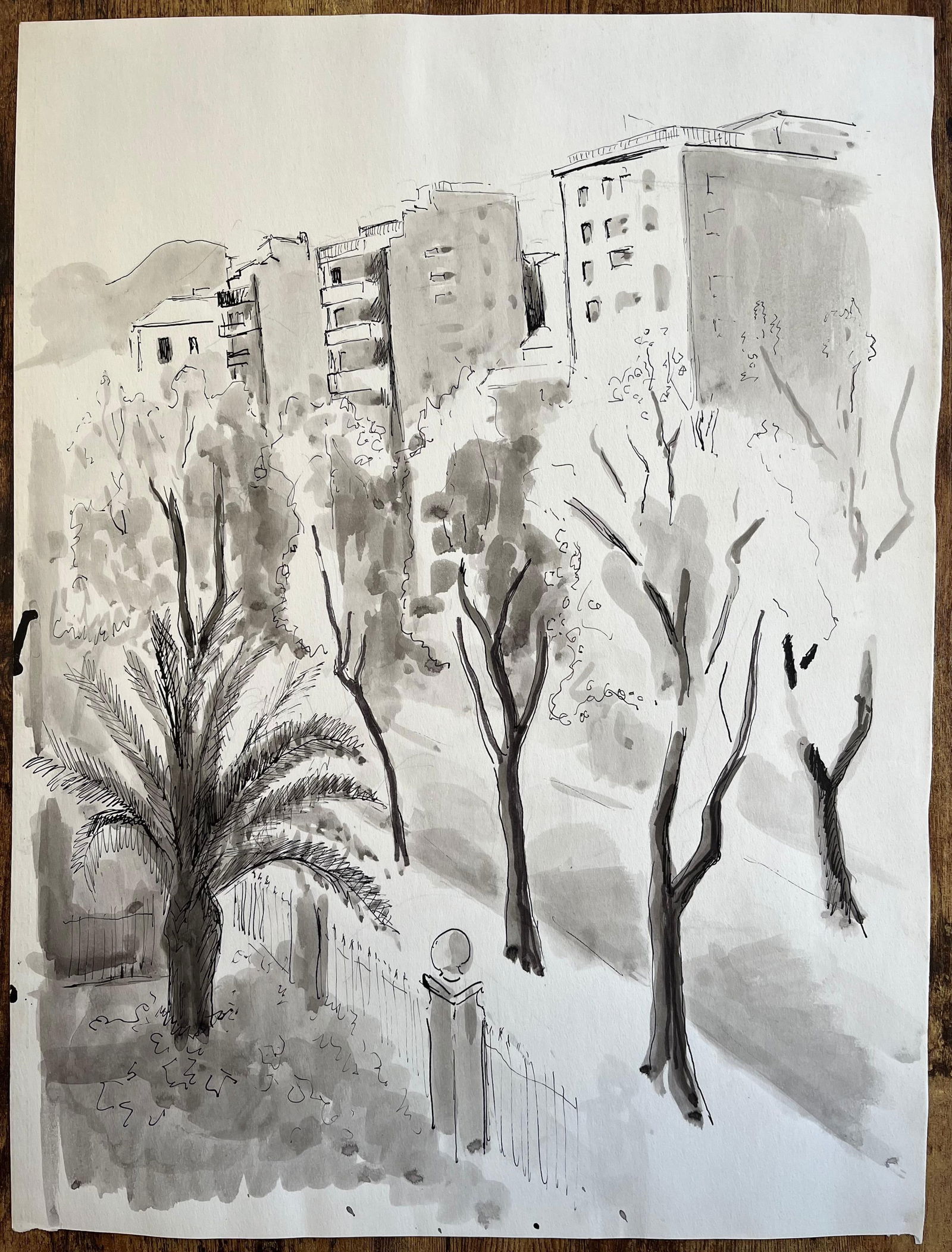 Anne Marie Migette Perard; Mid-20th Century Post-Impressionist Ink and Wash Cityscape with Palm Tree - 5