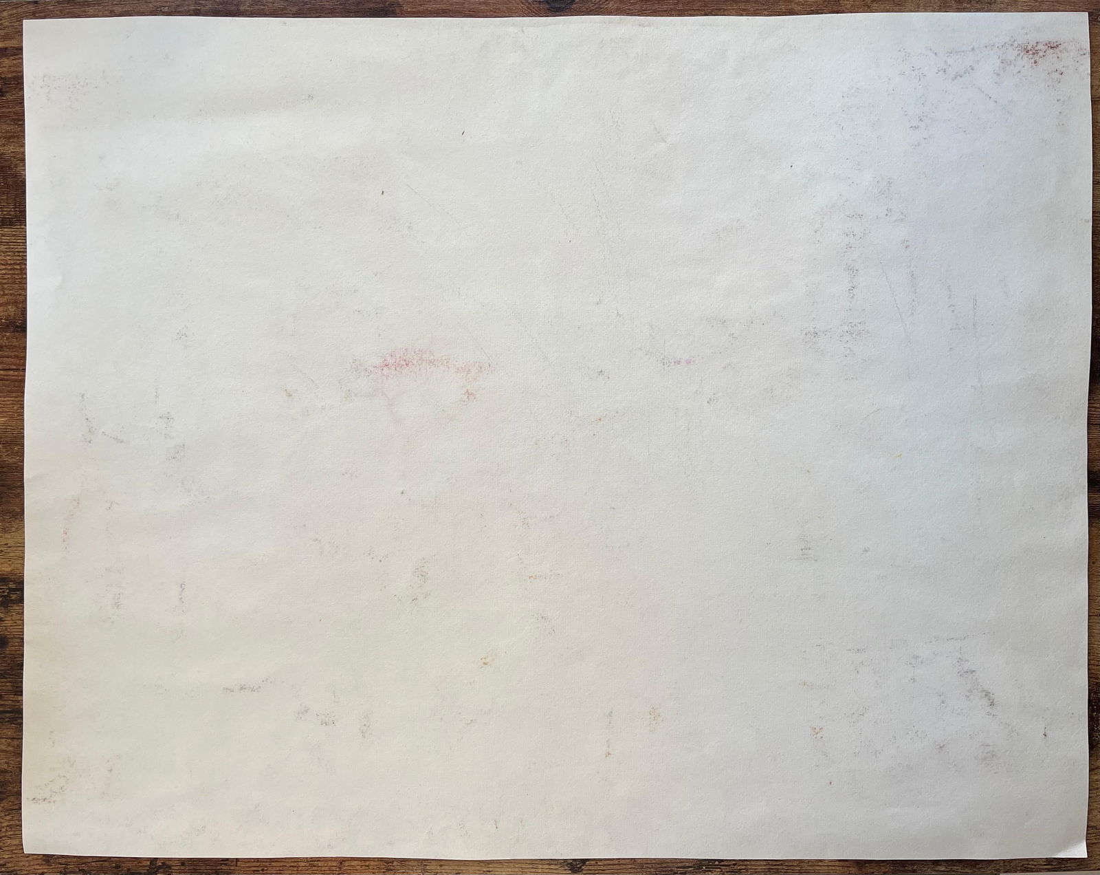 Anne Marie Migette Perard; Mid-20th Century Post-Impressionist Watercolour of Red Tulips and Mimosa - 11