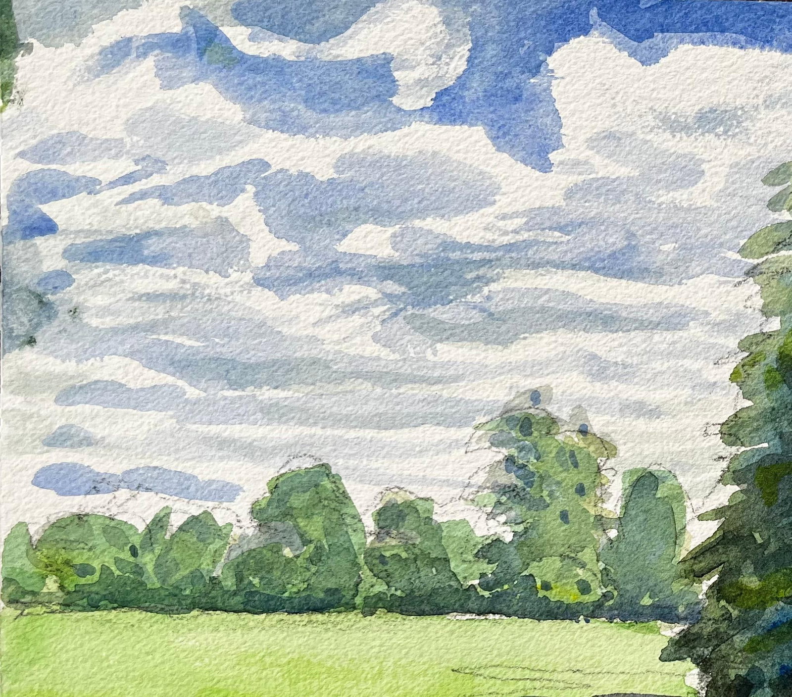 John Steane (b.1931); University Parks Oxford Landscape with Pine Tree and Summer Shadows - 12