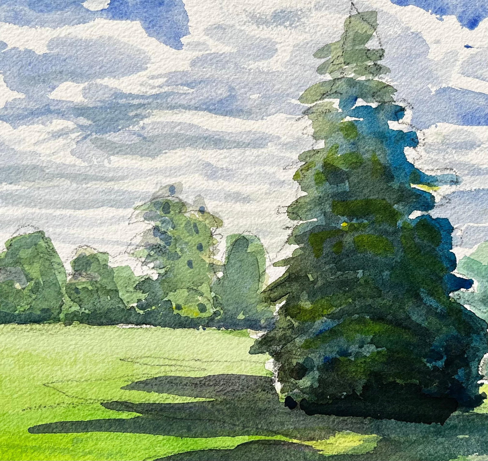 John Steane (b.1931); University Parks Oxford Landscape with Pine Tree and Summer Shadows - 13