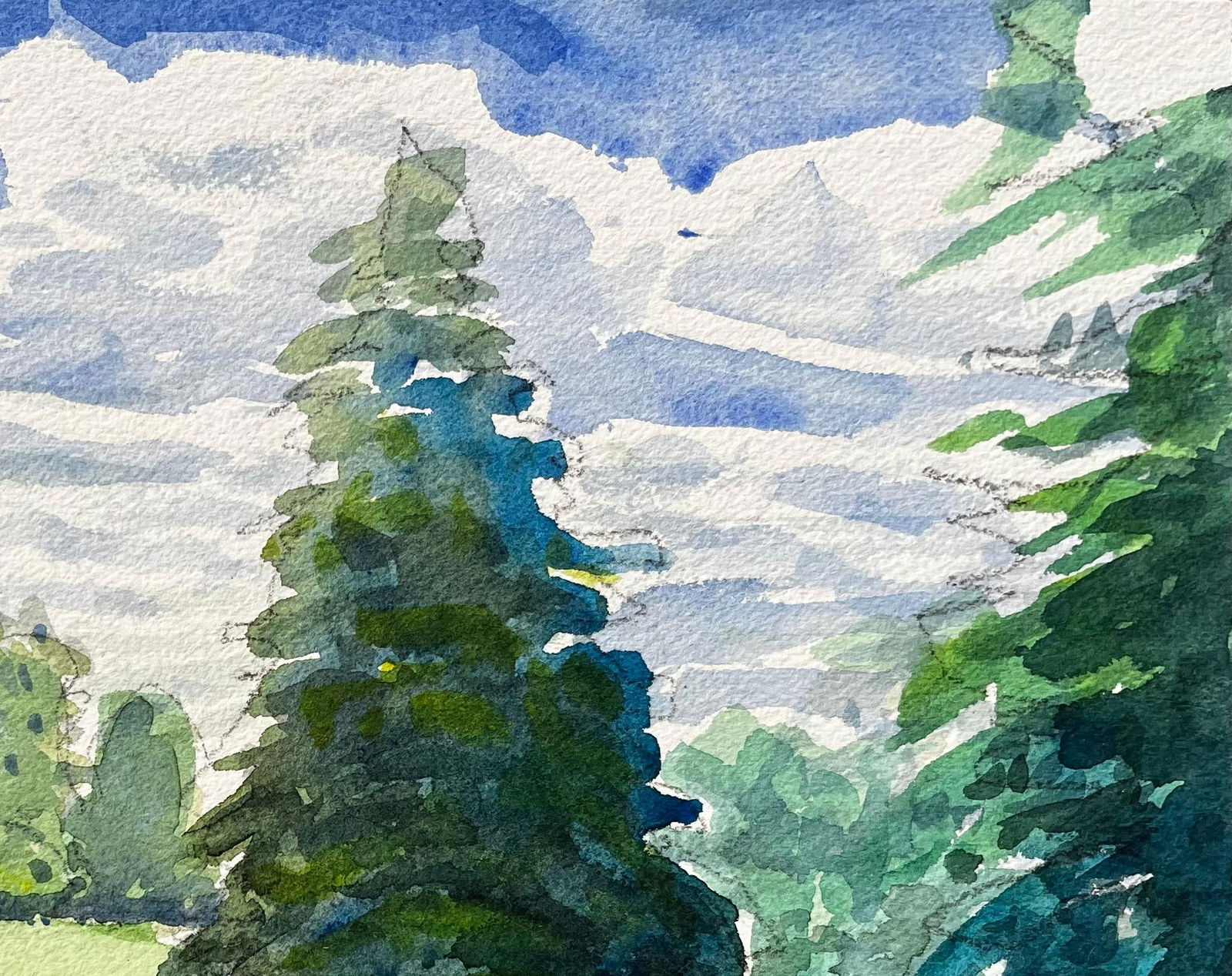 John Steane (b.1931); University Parks Oxford Landscape with Pine Tree and Summer Shadows - 2