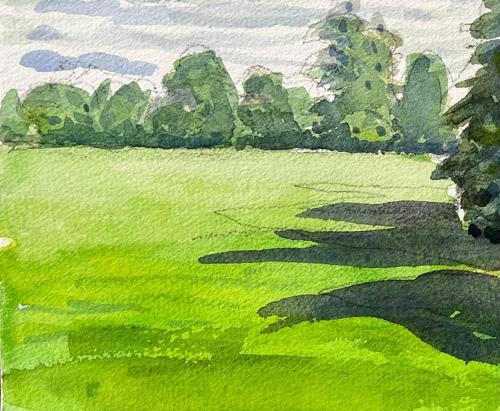 John Steane (b.1931); University Parks Oxford Landscape with Pine Tree and Summer Shadows - 3