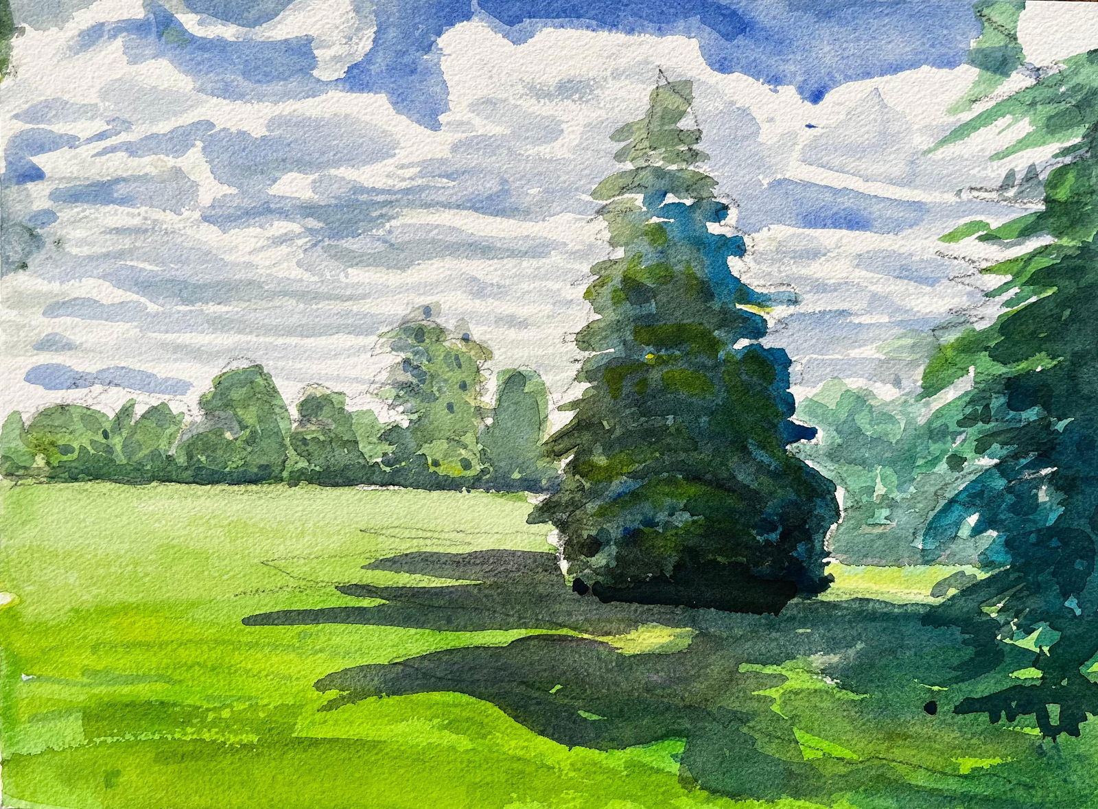 John Steane (b.1931); University Parks Oxford Landscape with Pine Tree and Summer Shadows - 7