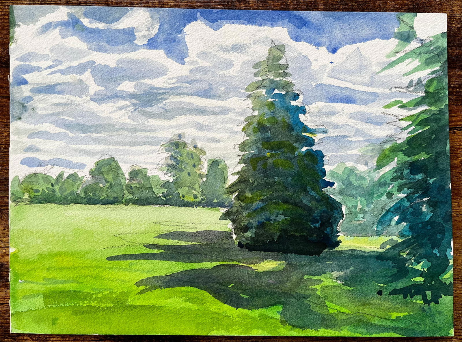 John Steane (b.1931); University Parks Oxford Landscape with Pine Tree and Summer Shadows - 8