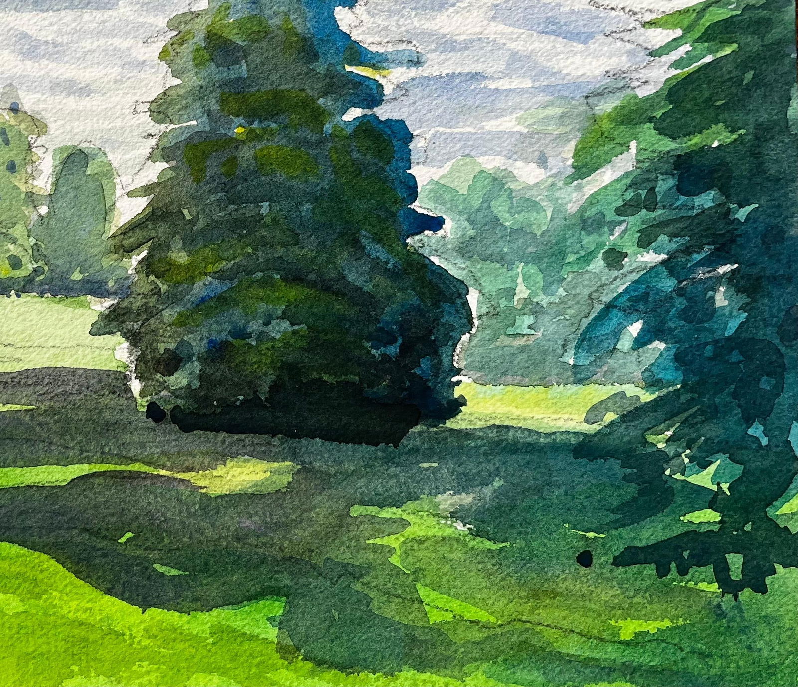 John Steane (b.1931); University Parks Oxford Landscape with Pine Tree and Summer Shadows - 9