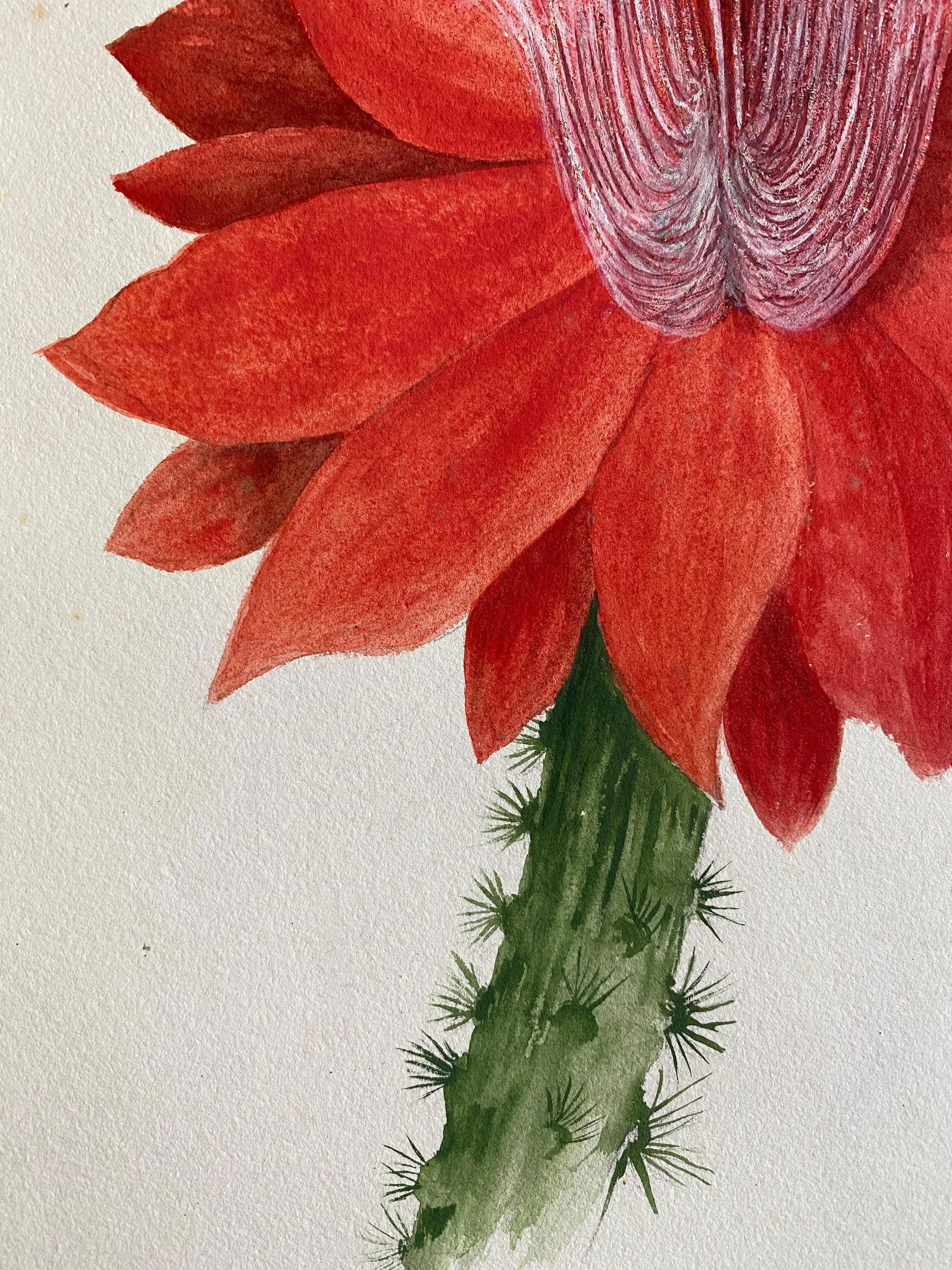 Fine Antique British Botannical Watercolour Painting, circa 1900's Red Flower, circa 1900s - 2