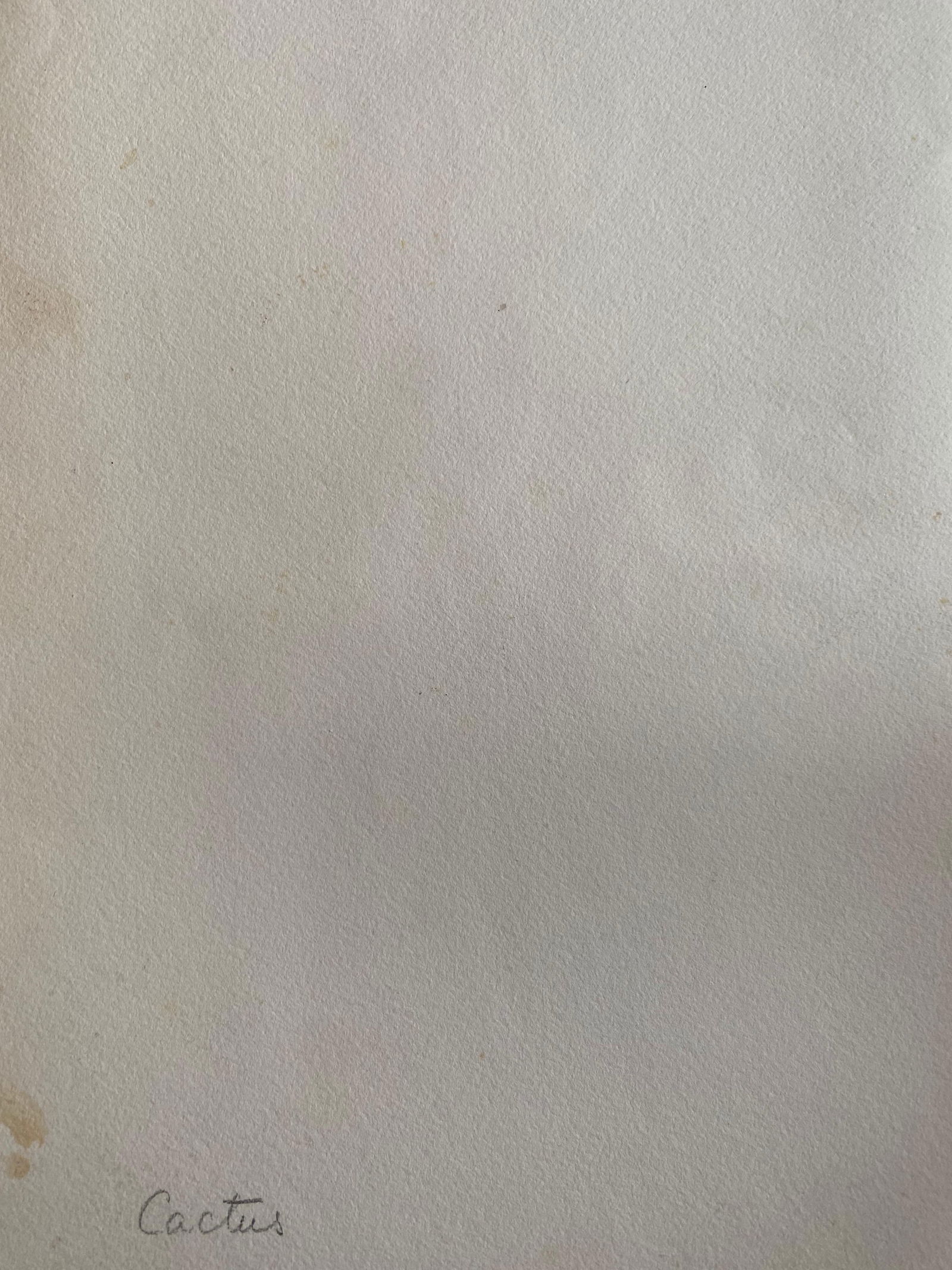 Fine Antique British Botannical Watercolour Painting, circa 1900's Red Flower, circa 1900s - 3