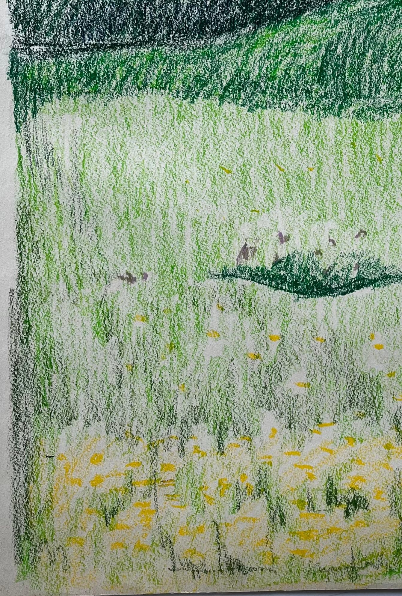 Guy Nicod; French Rolling Hills with Meadows and Wildflowers Pastel Landscape Drawing - 9