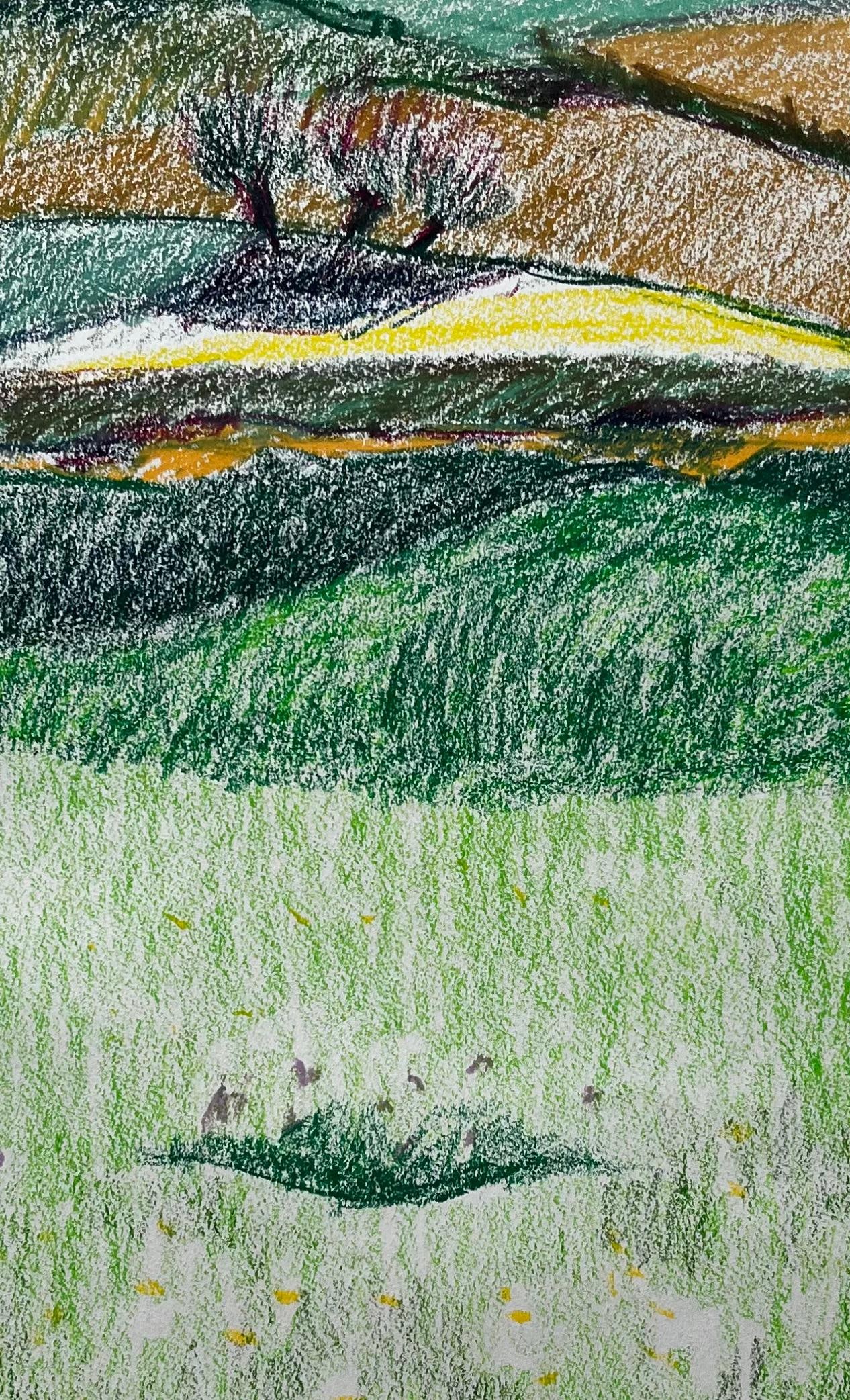 Guy Nicod; French Rolling Hills with Meadows and Wildflowers Pastel Landscape Drawing - 10