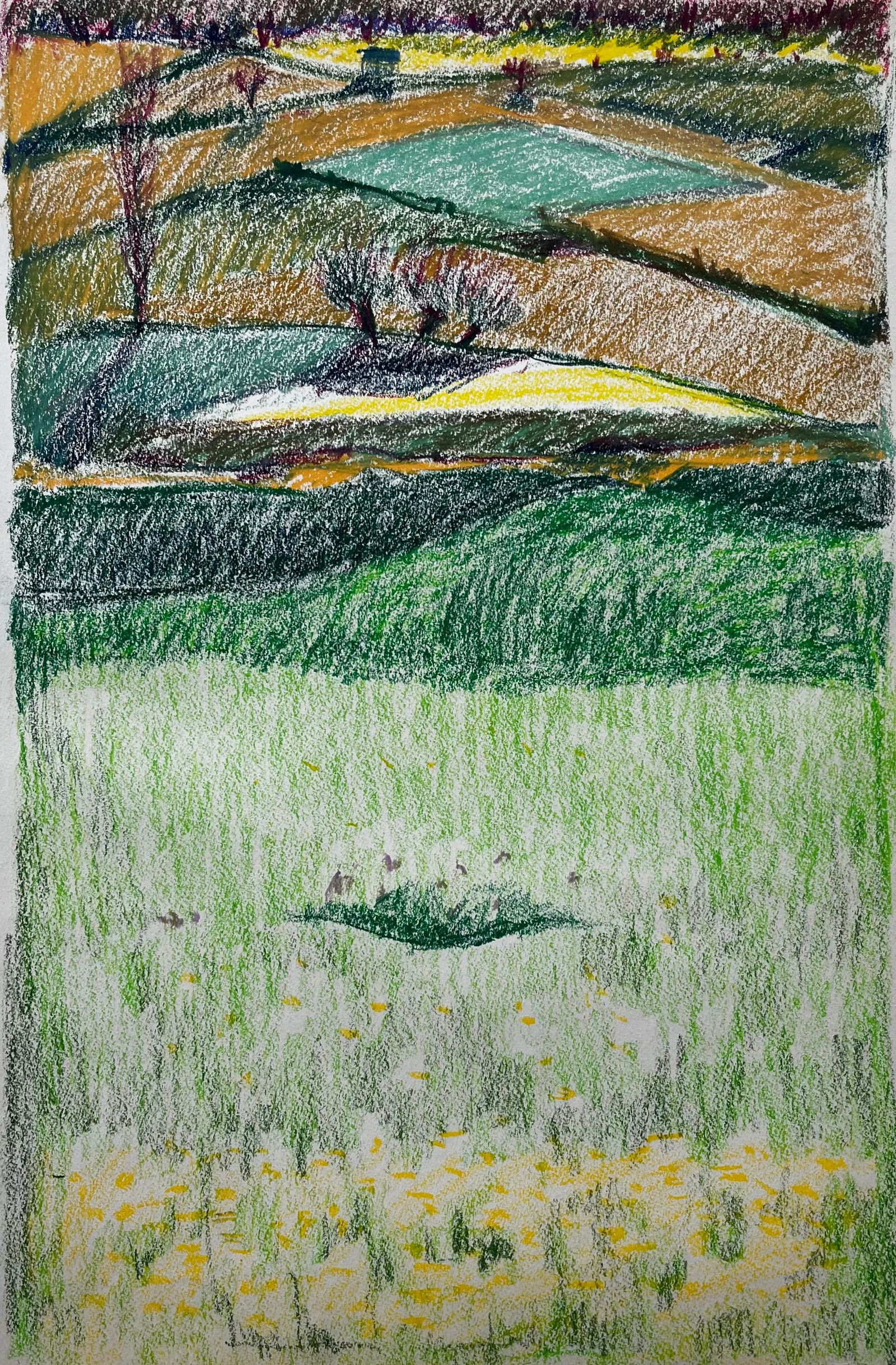 Guy Nicod; French Rolling Hills with Meadows and Wildflowers Pastel Landscape Drawing - 4