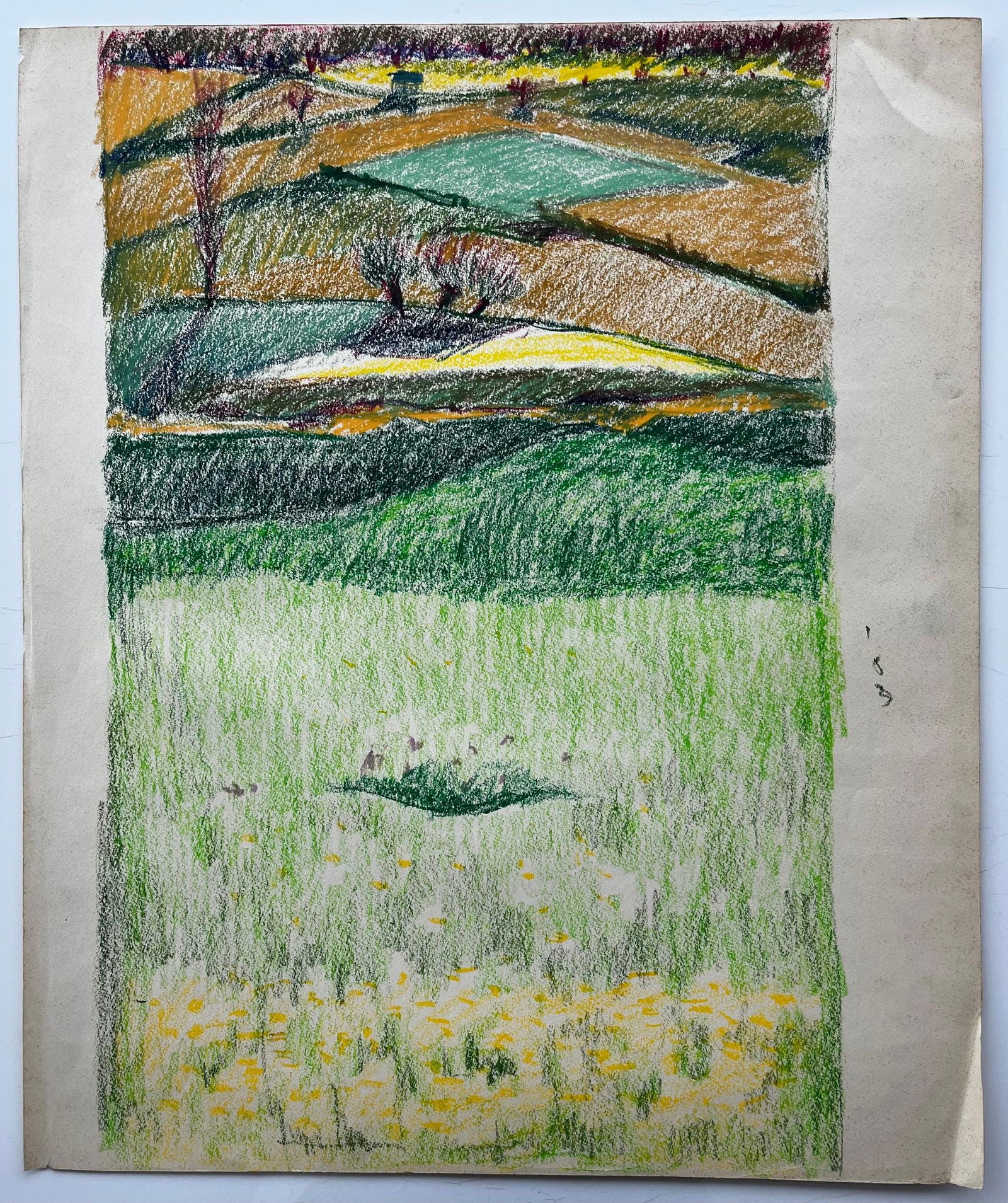 Guy Nicod; French Rolling Hills with Meadows and Wildflowers Pastel Landscape Drawing - 5