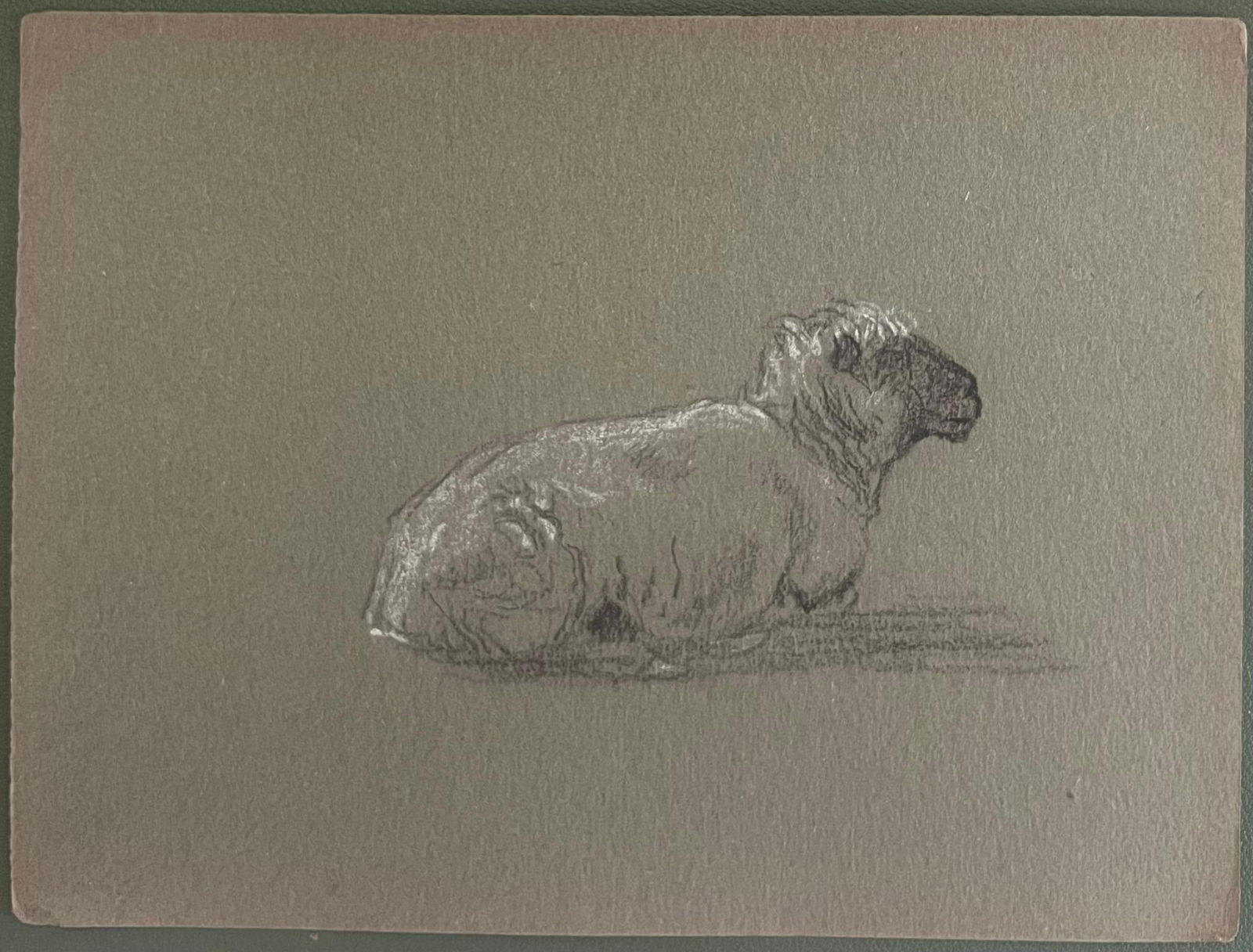 John Rabone Harvey; British Chalk Pencil Sketch of Small White Sheep Lying Down, 1966 - 3