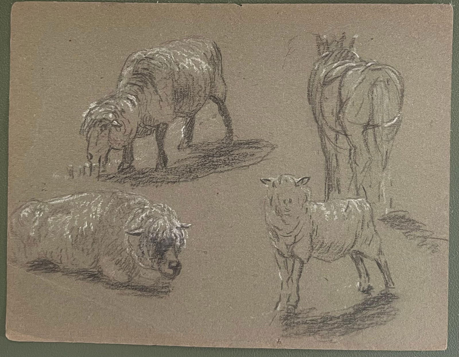 John Rabone Harvey; British Chalk Pencil Sketches of Four Sheep In Different Positions, 1966 - 3