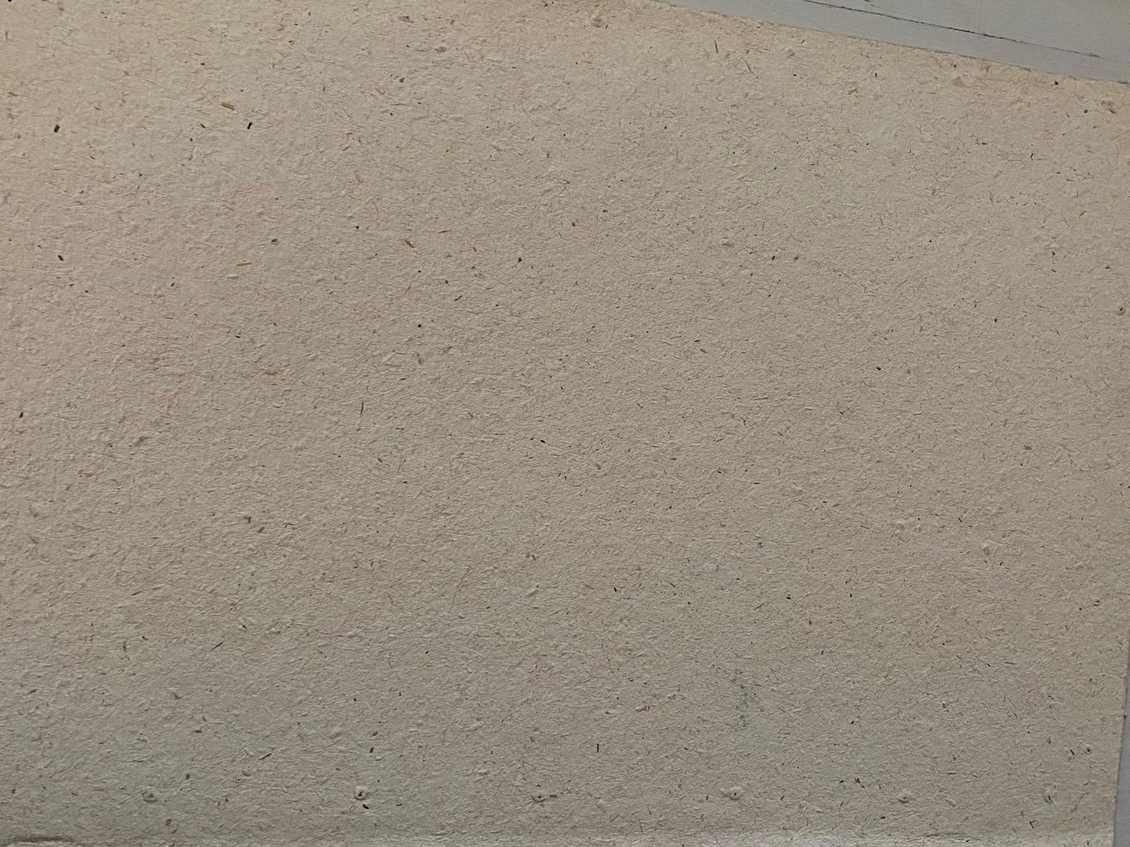 1900's English Impressionist Watercolor Painting Stunning Sunflowers Beach, circa 1900s - 5