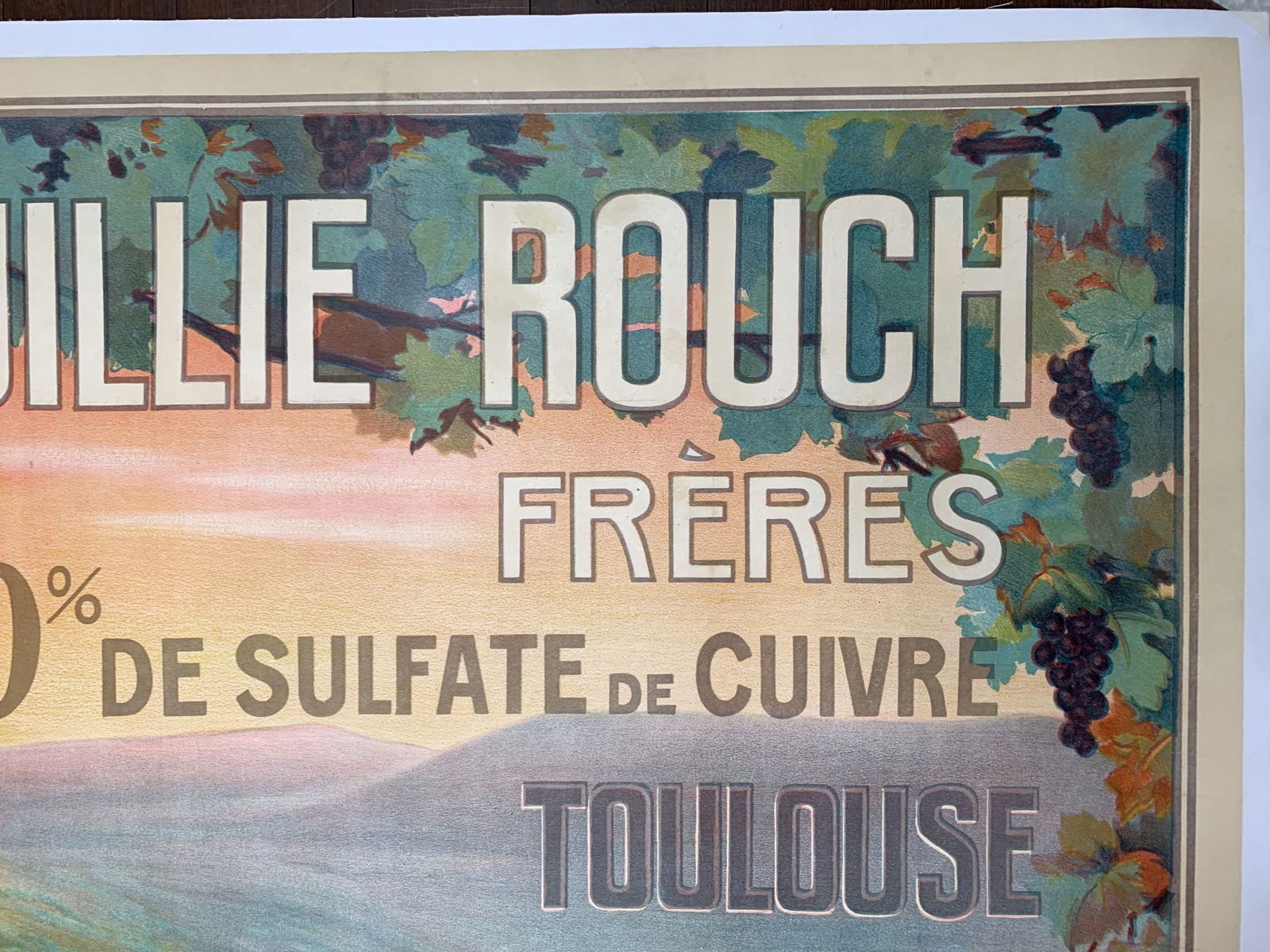 Bouillie Rouch Grapes (1889) 30.5x45.5 French Lithograph Poster LB - 4
