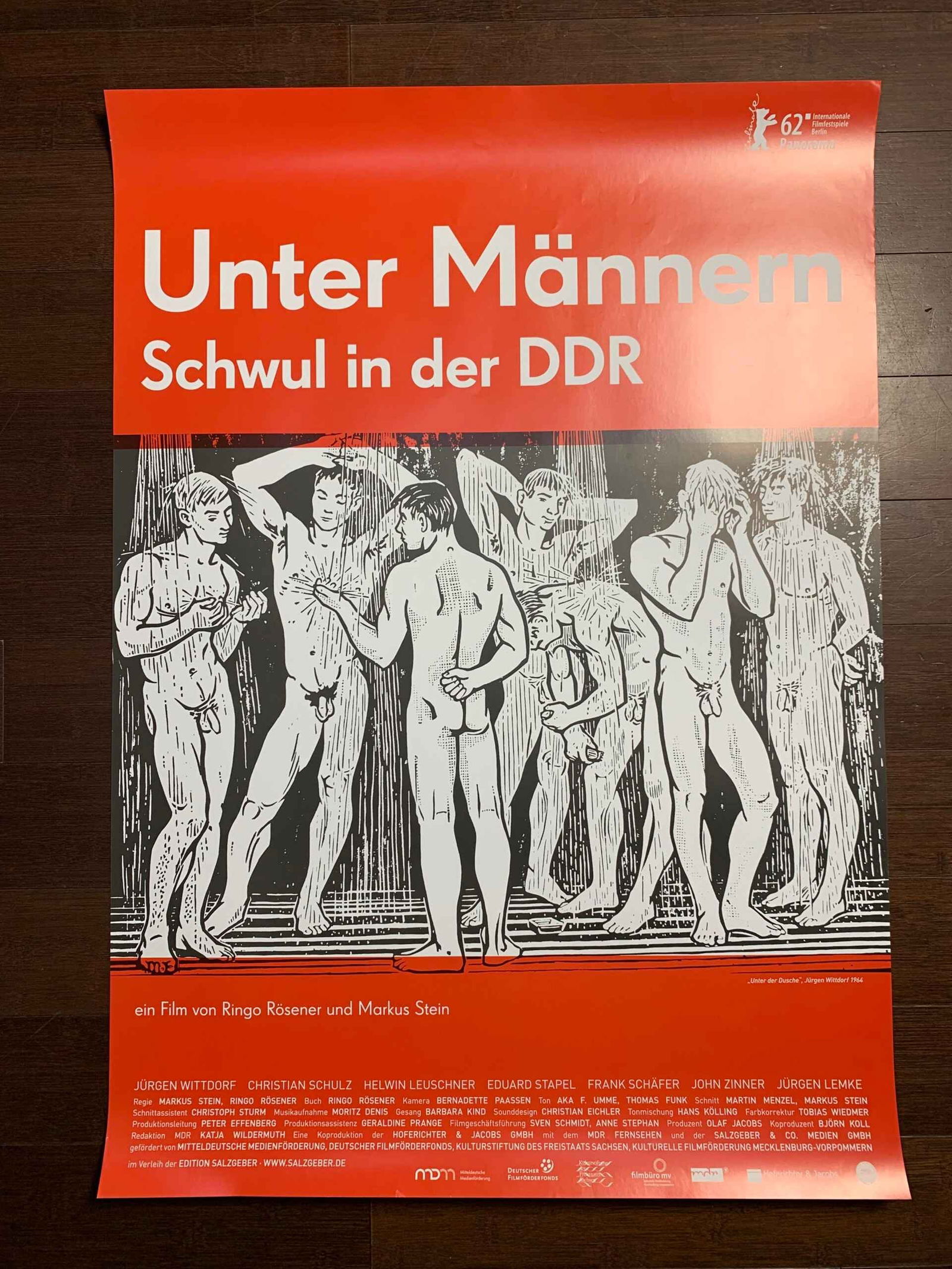 Bulk Lot of 23 (2017) 23.5x33 German LGBQT Advertising Posters - 2