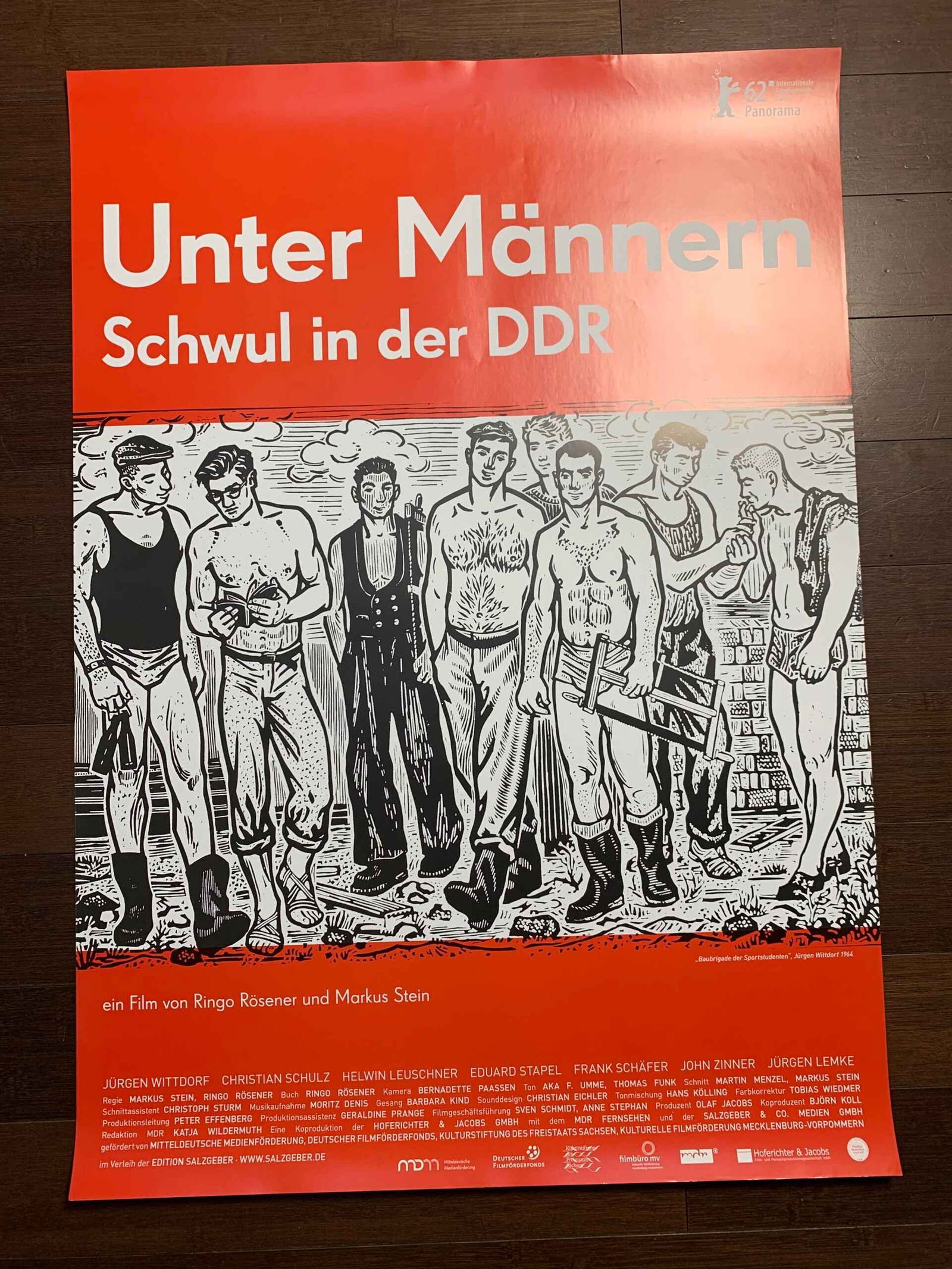 Bulk Lot of 23 (2017) 23.5x33 German LGBQT Advertising Posters - 3