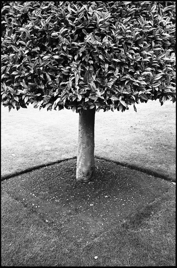 Geometry, Wimpole Estate - Silver Gelatin: Title: Geometry, Wimpole Estate - Silver Gelatin Description: Title: Geometry, Wimpole Estate - Silver Gelatin Photograph - Limited Edition of 10Artist: Paul CooklinOrigin: United KingdomMedium: