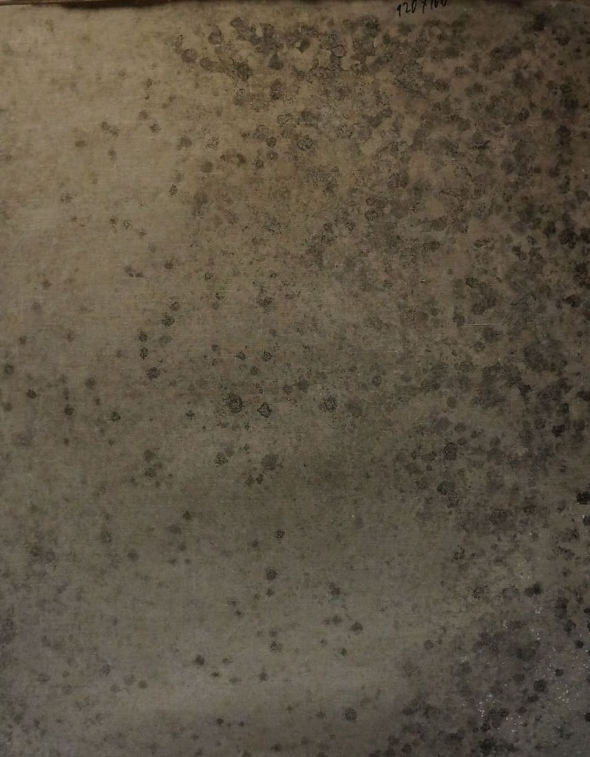 Oil painting Girl among flowers Titarenko Maria Anatolyevna - 7