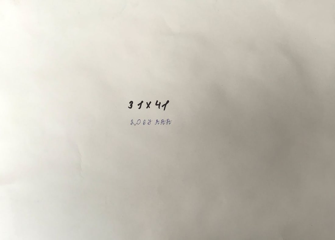 Watercolor painting Flowers bloom Wihyrovskii Victor - 11