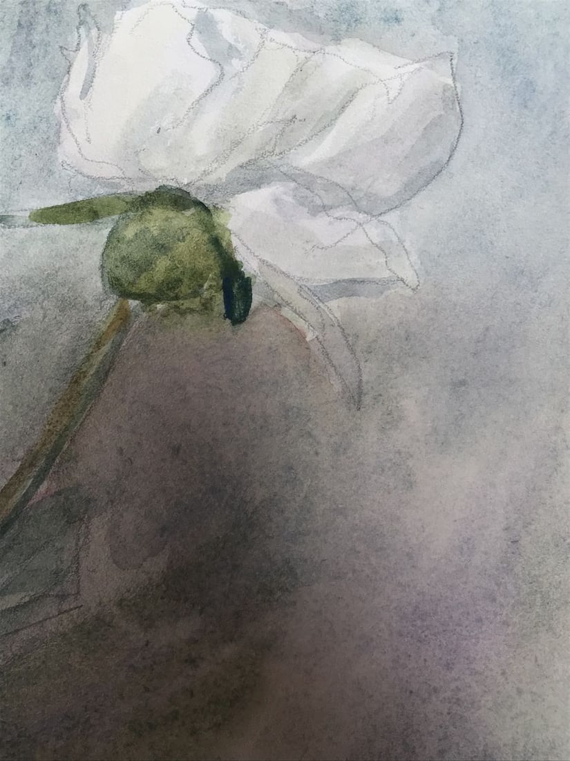 Watercolor painting Flowers bloom Wihyrovskii Victor - 9