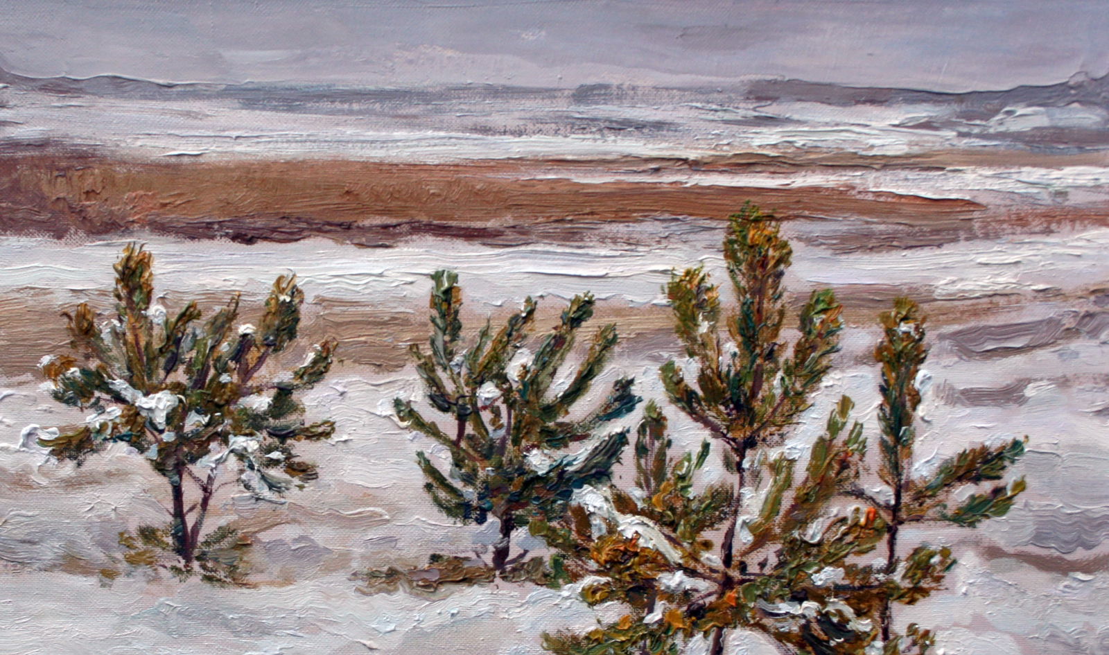 Oil painting Young pines Leonid Pavlenko - 3