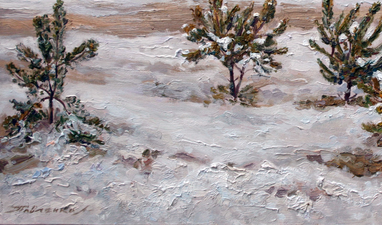 Oil painting Young pines Leonid Pavlenko - 4