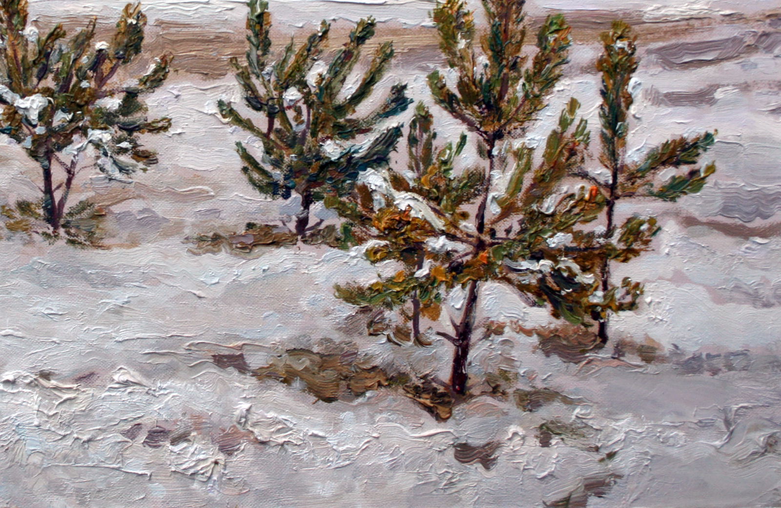 Oil painting Young pines Leonid Pavlenko - 5