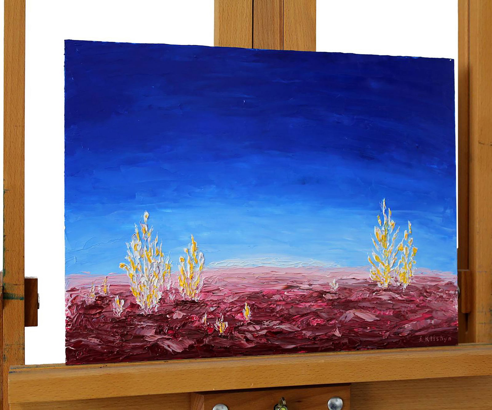 Oil painting White ahgae landscape Andriy Klishyn - 6