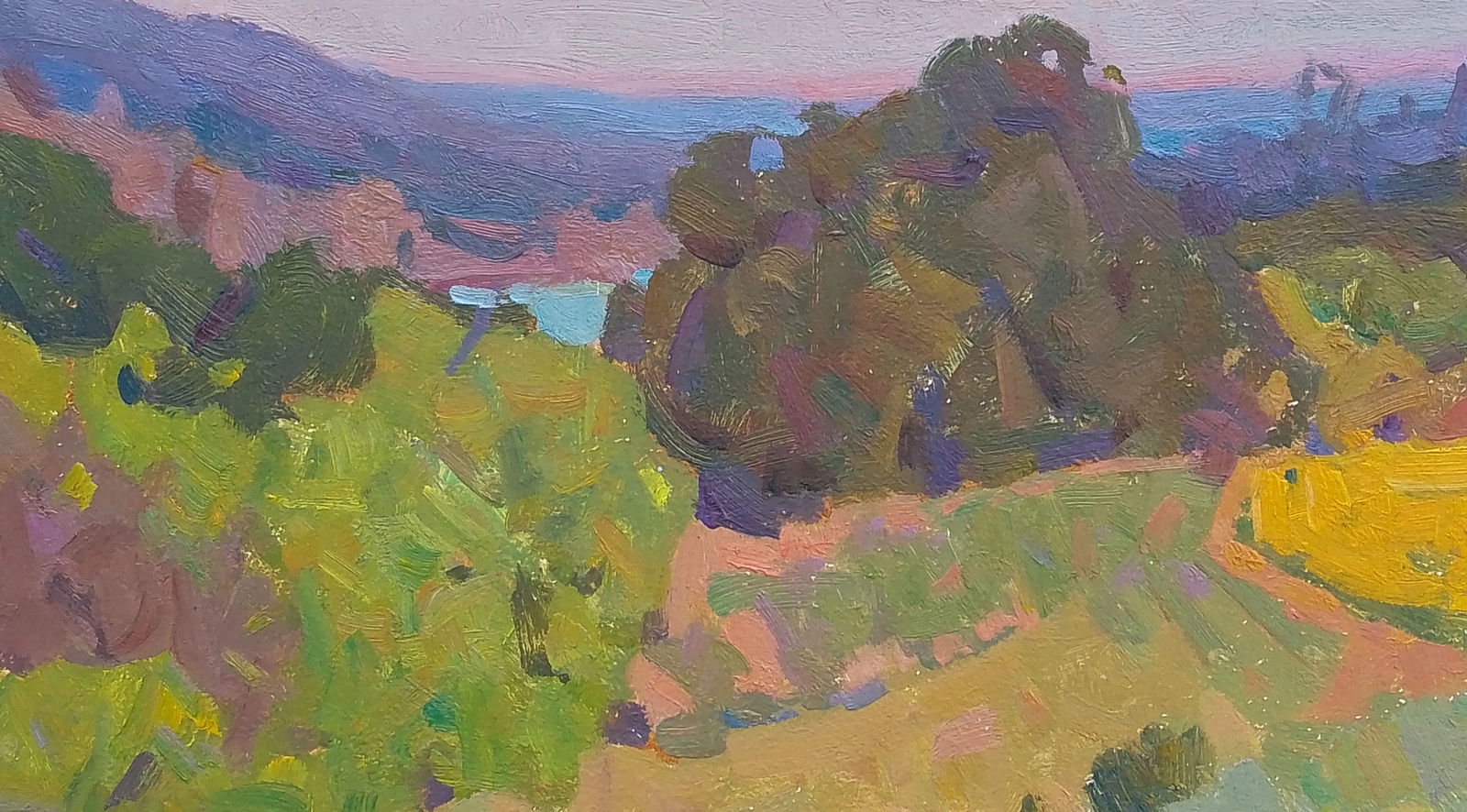 Oil painting The last rays of the sun Igor Tuzhikov - 6